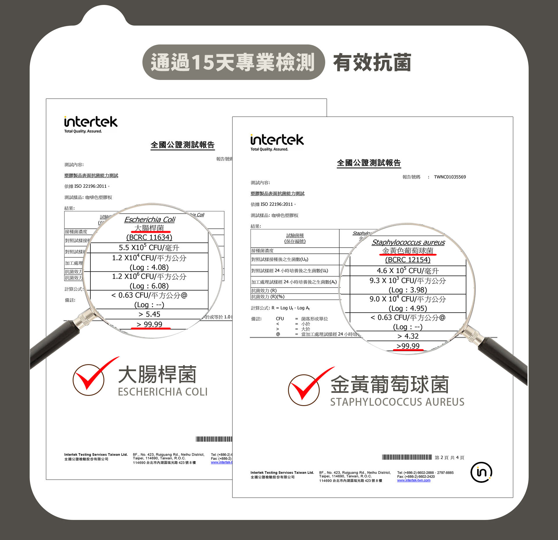 滿版banner