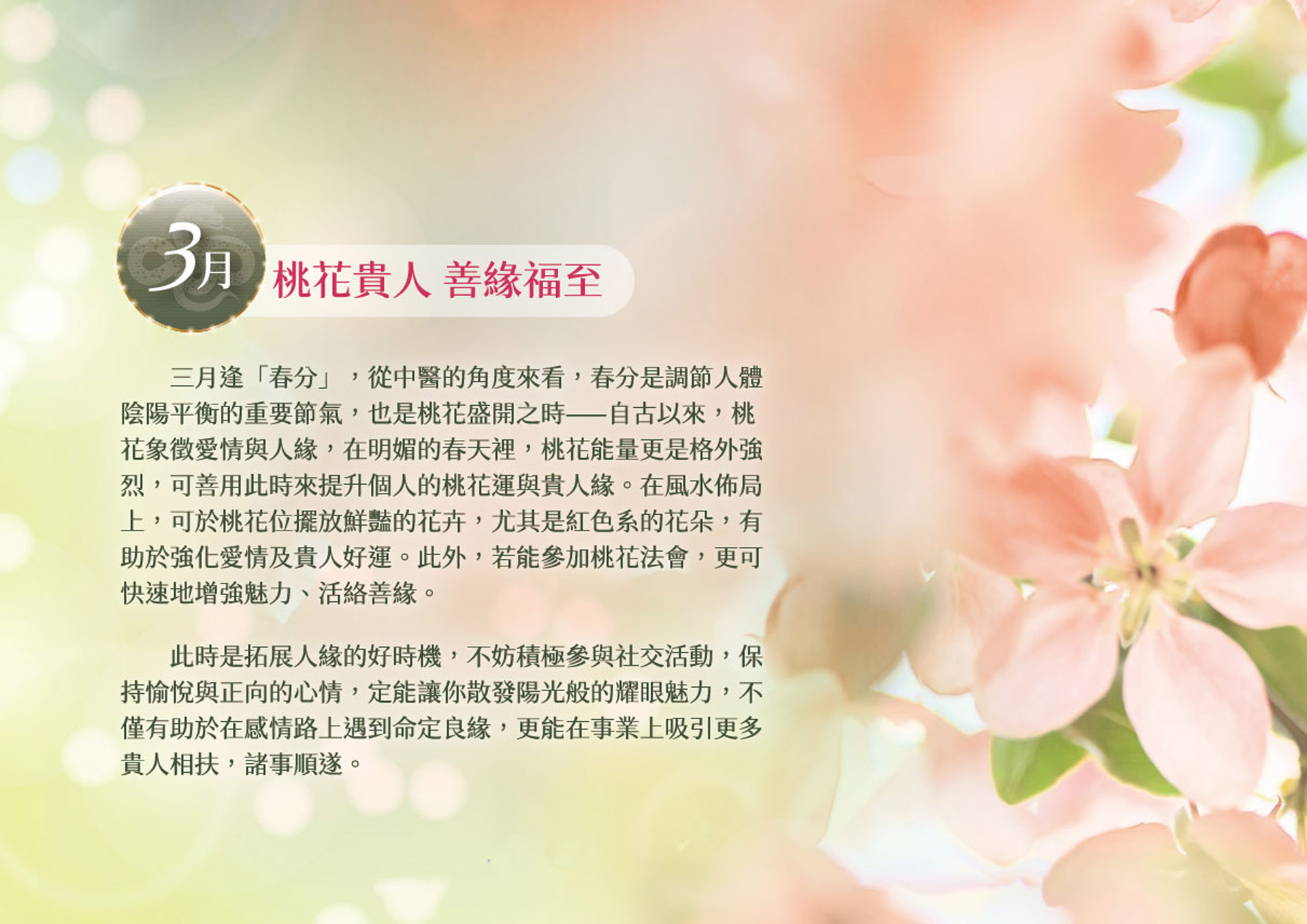 滿版banner