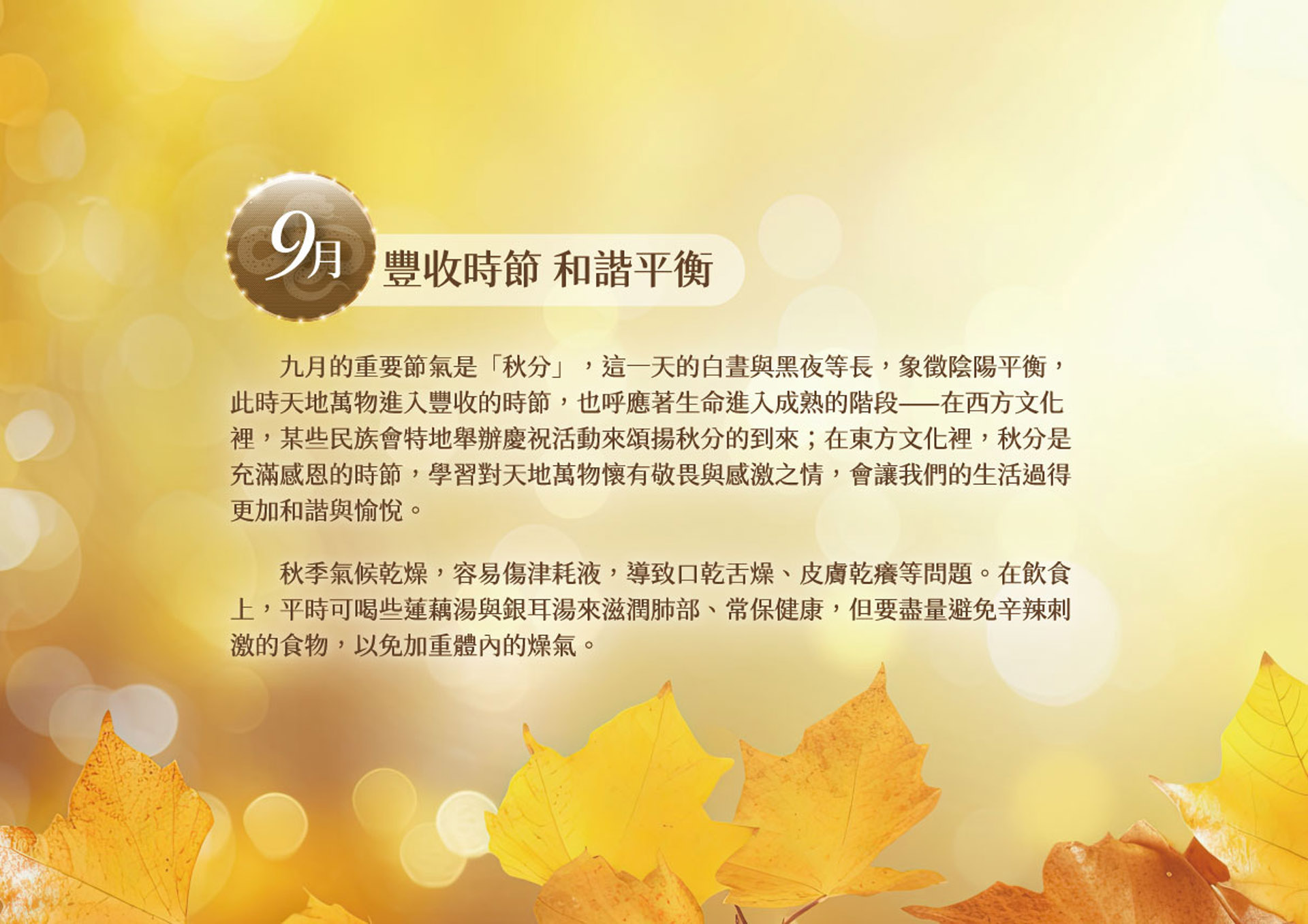 滿版banner
