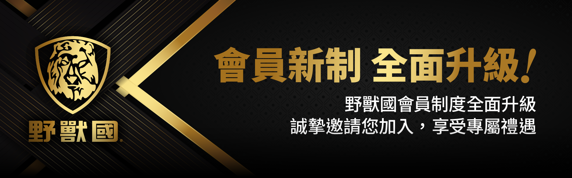 滿版banner