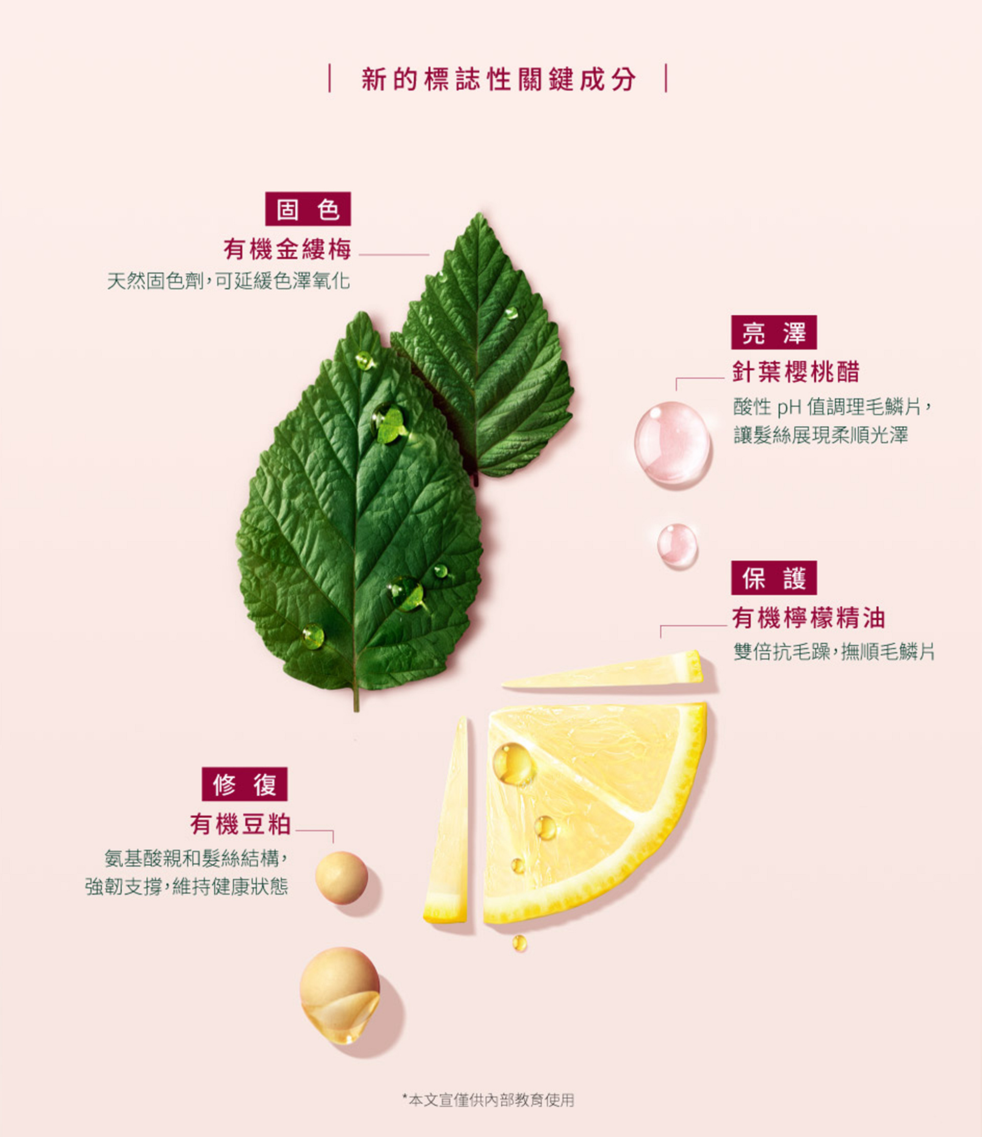 滿版banner