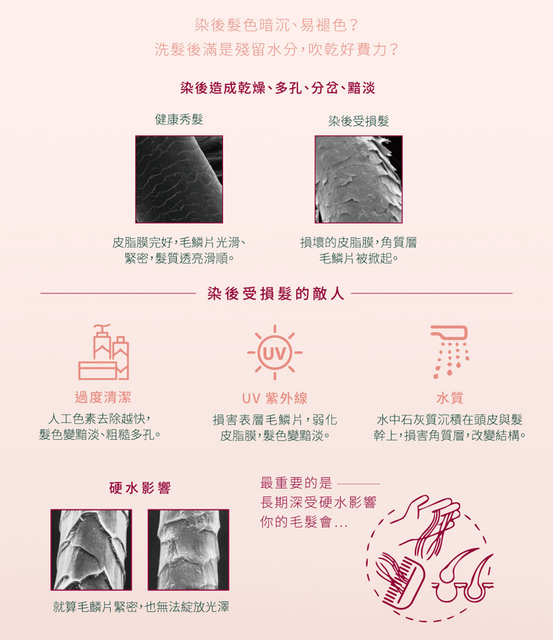 滿版banner