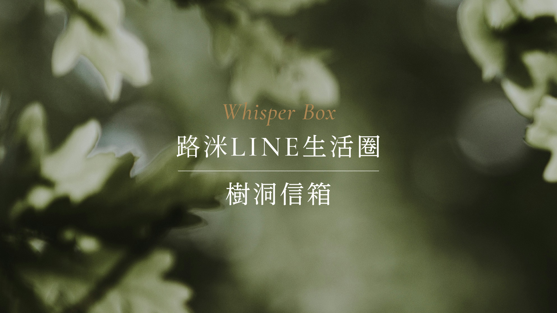 滿版banner