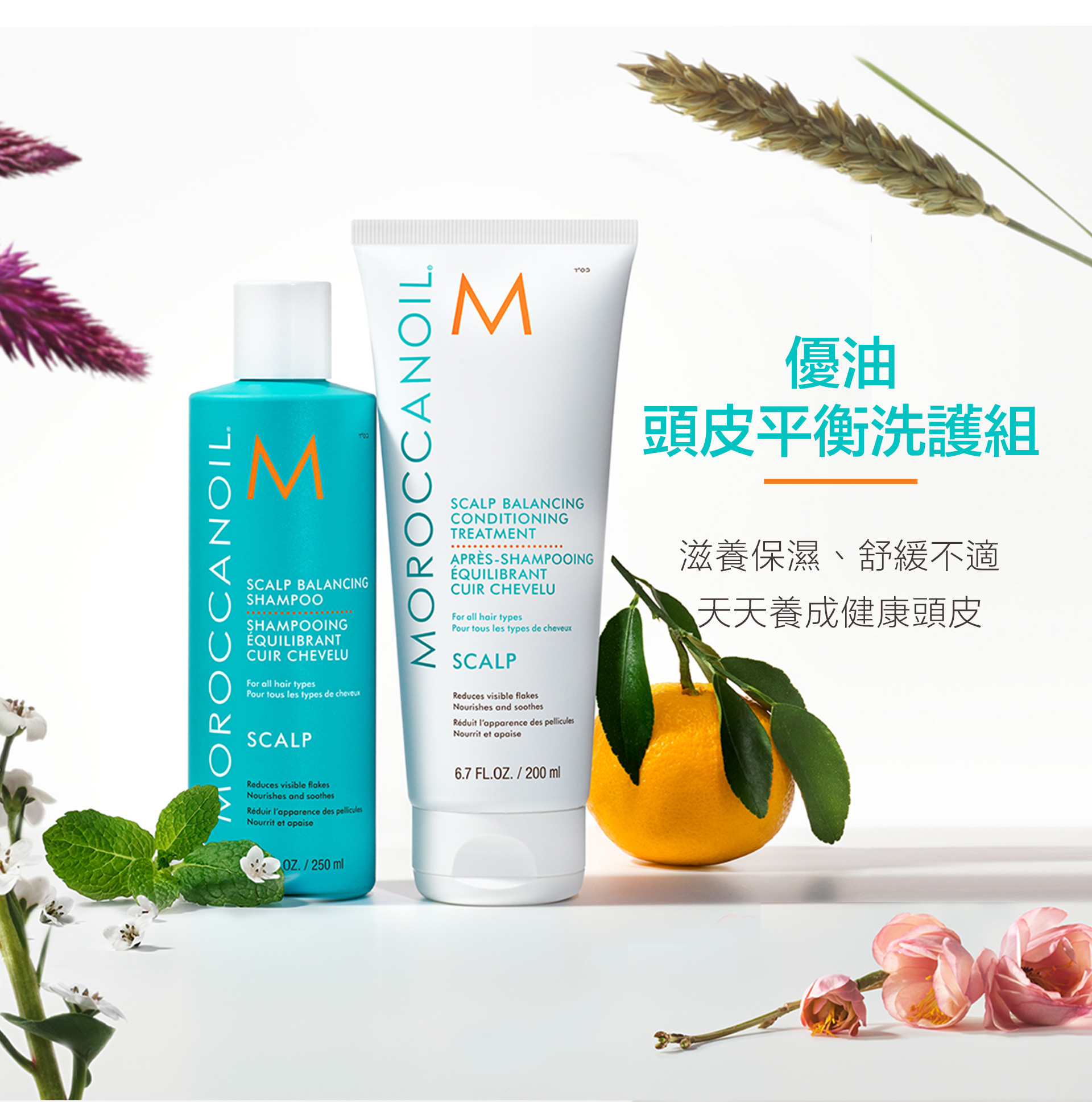 滿版banner