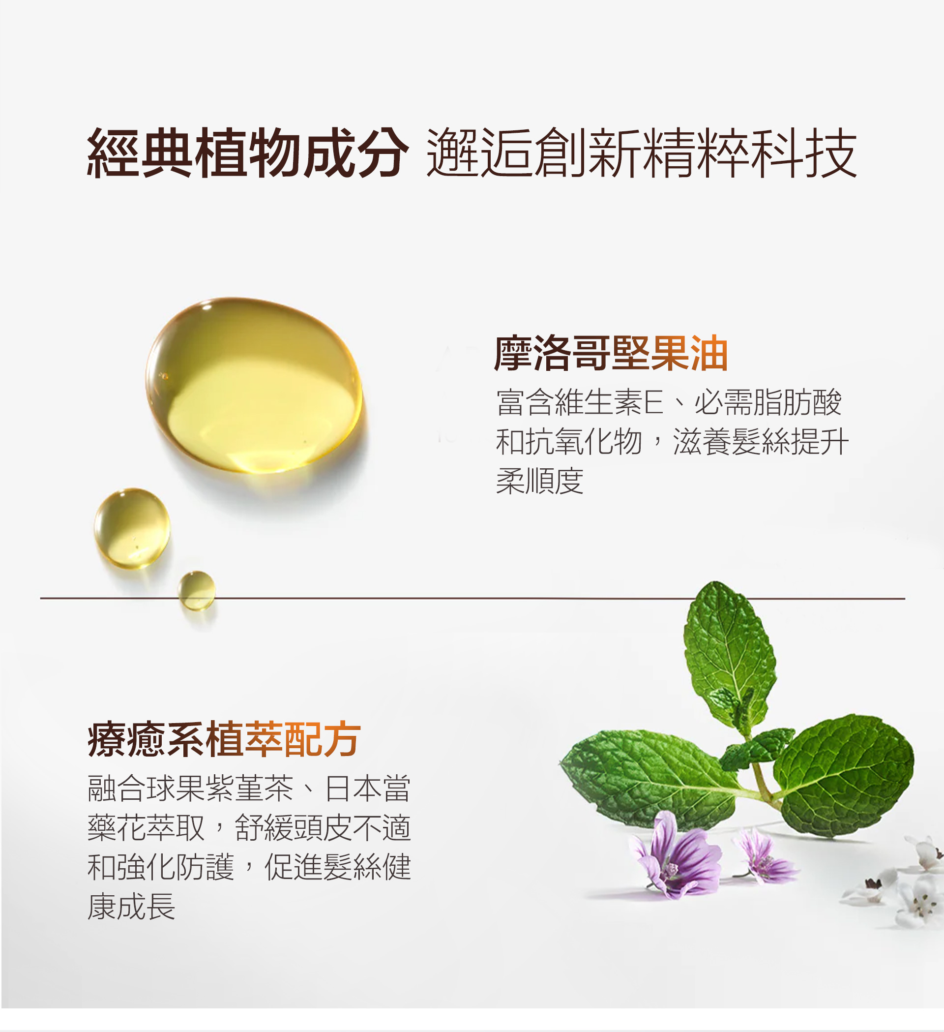 滿版banner