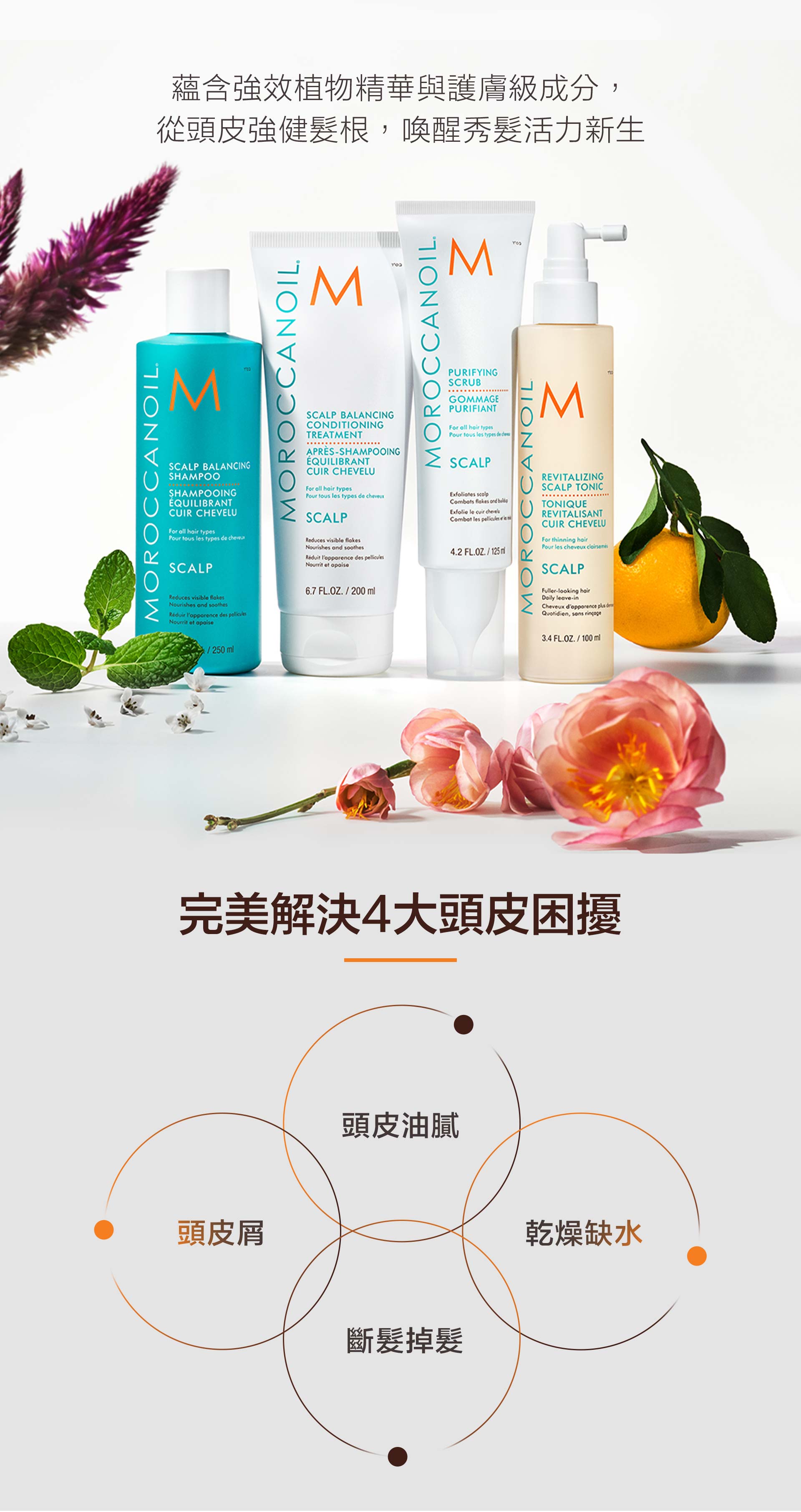 滿版banner