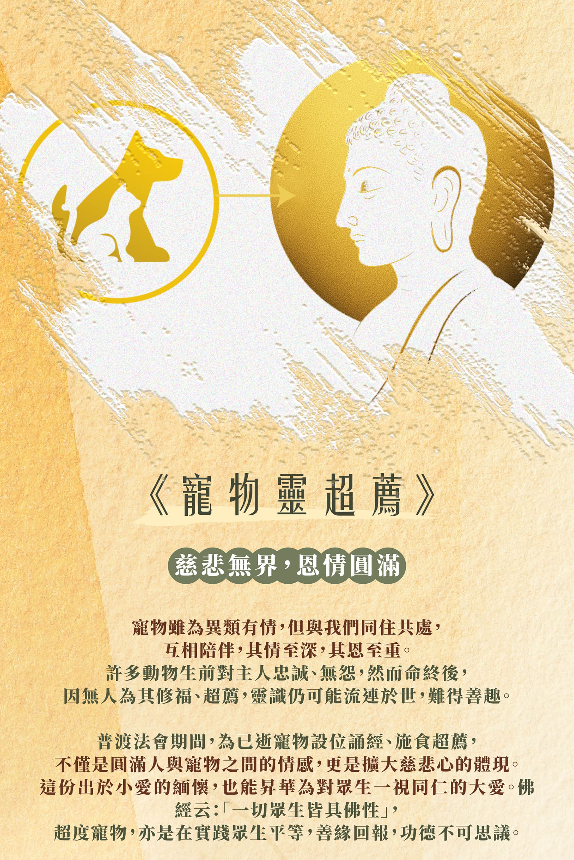 滿版banner