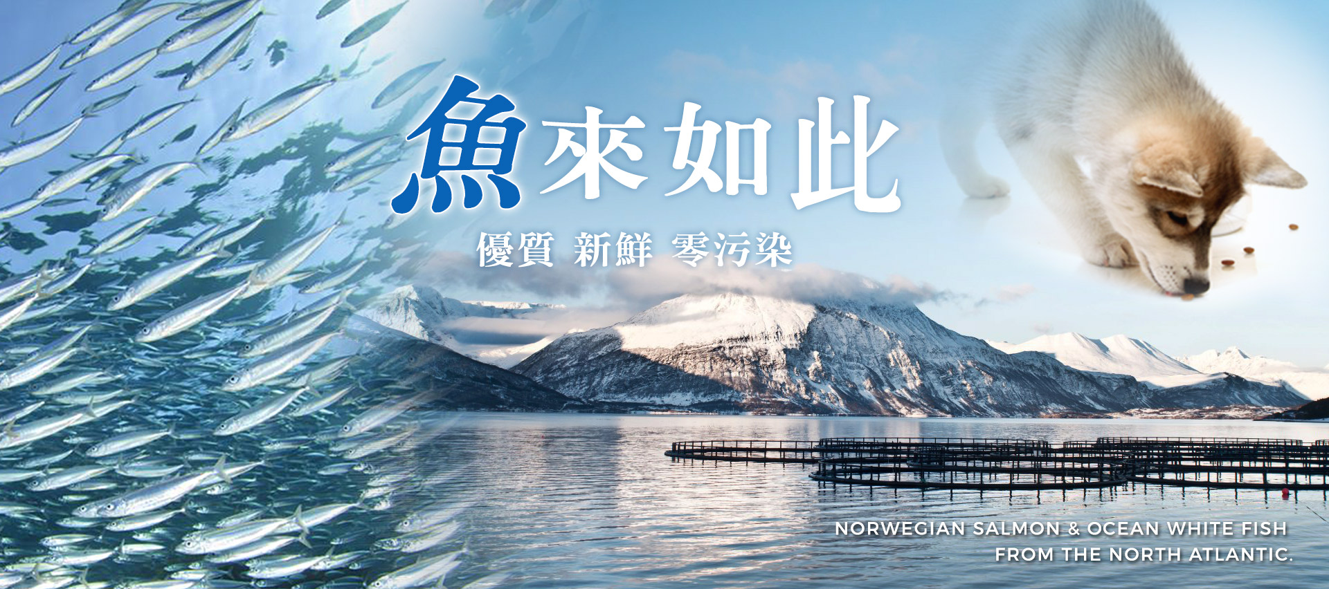 滿版banner