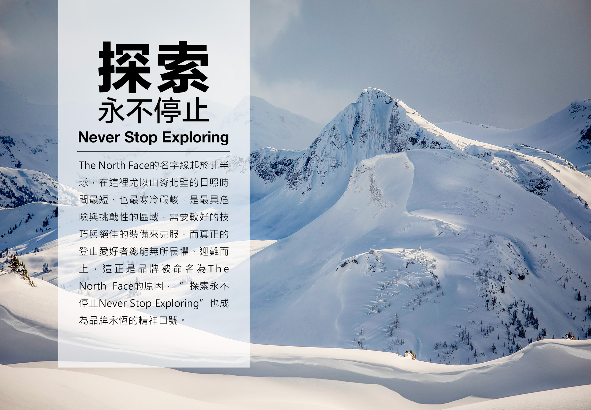 The north face mission statement cheap