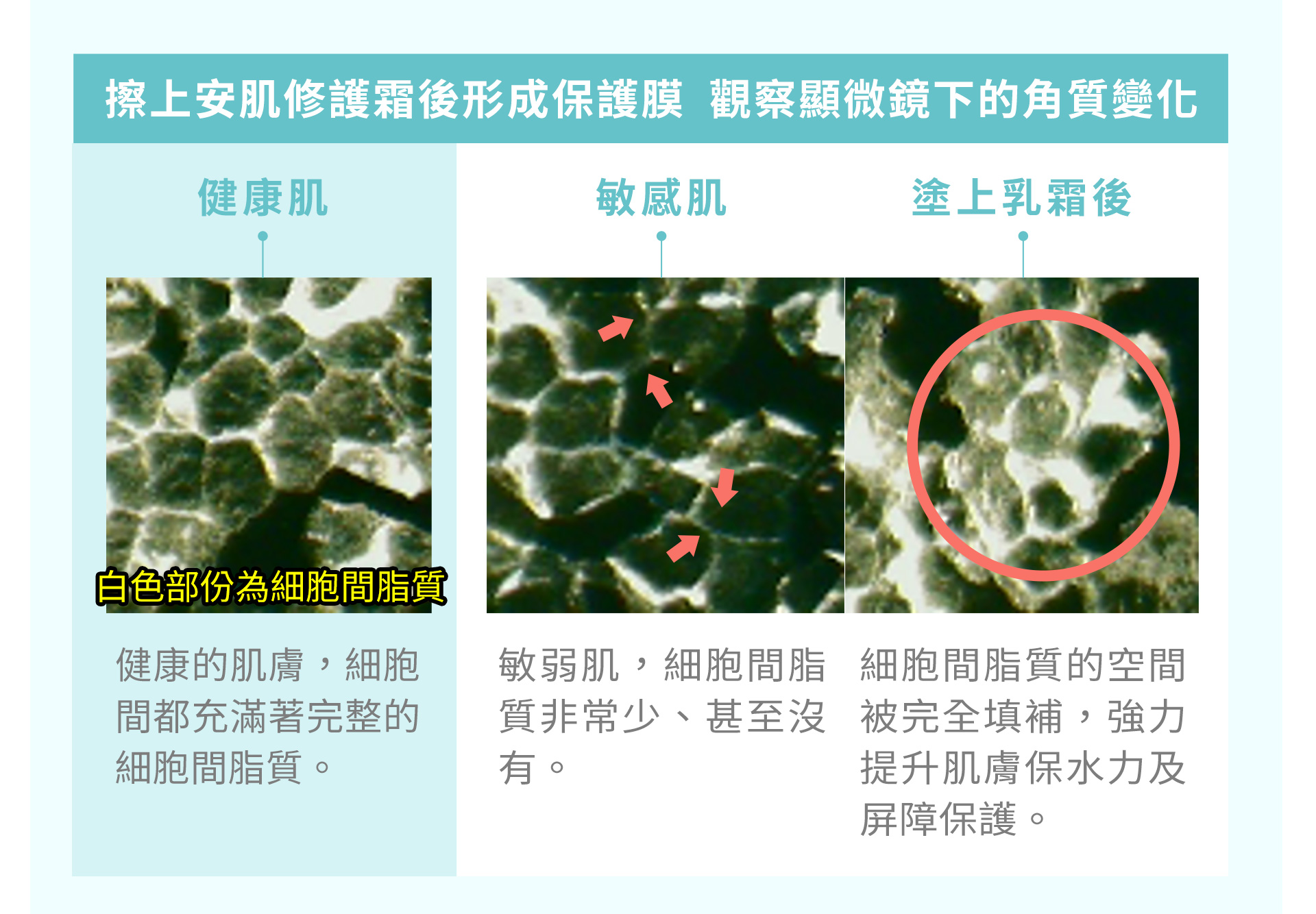 滿版banner