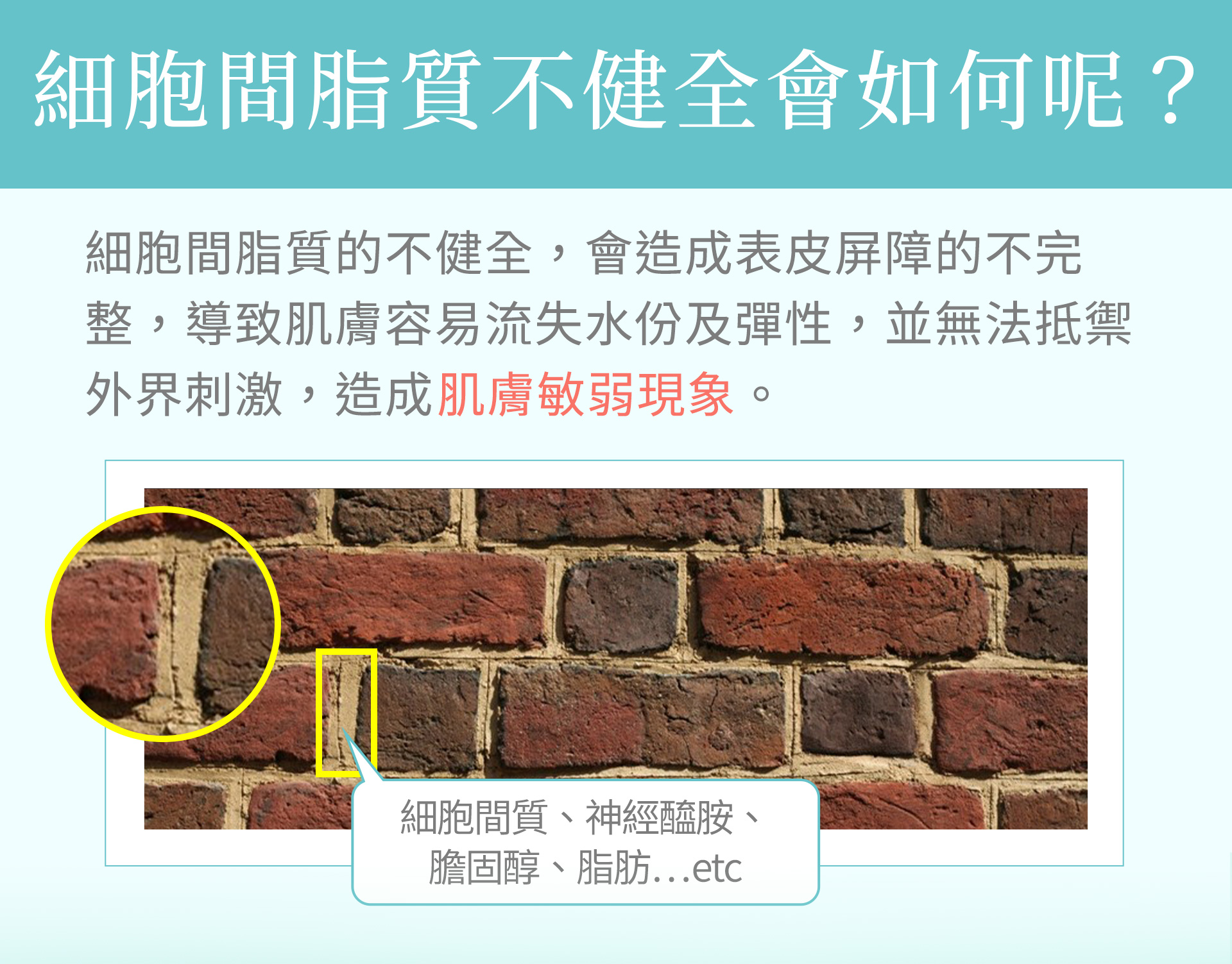 滿版banner