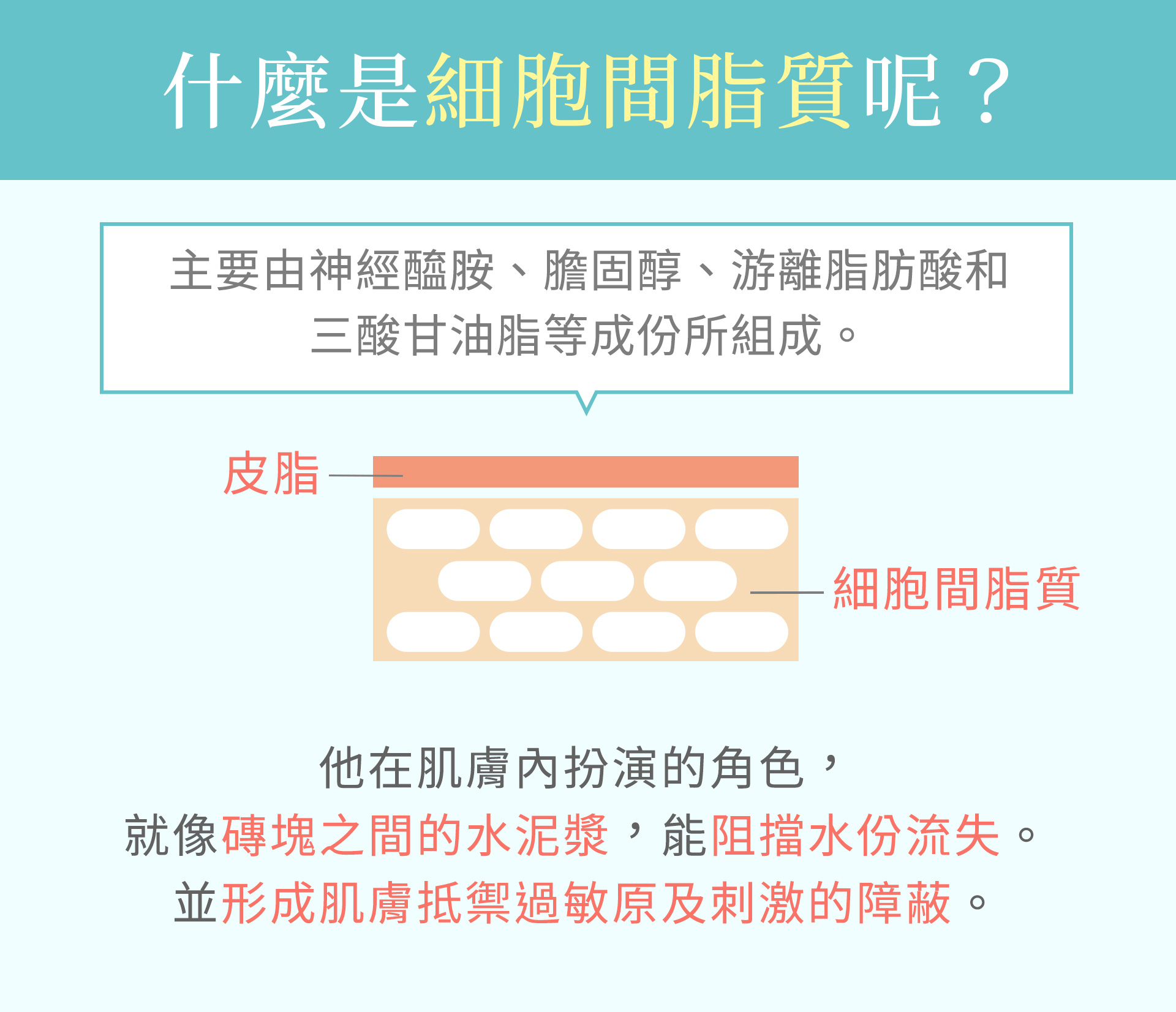 滿版banner