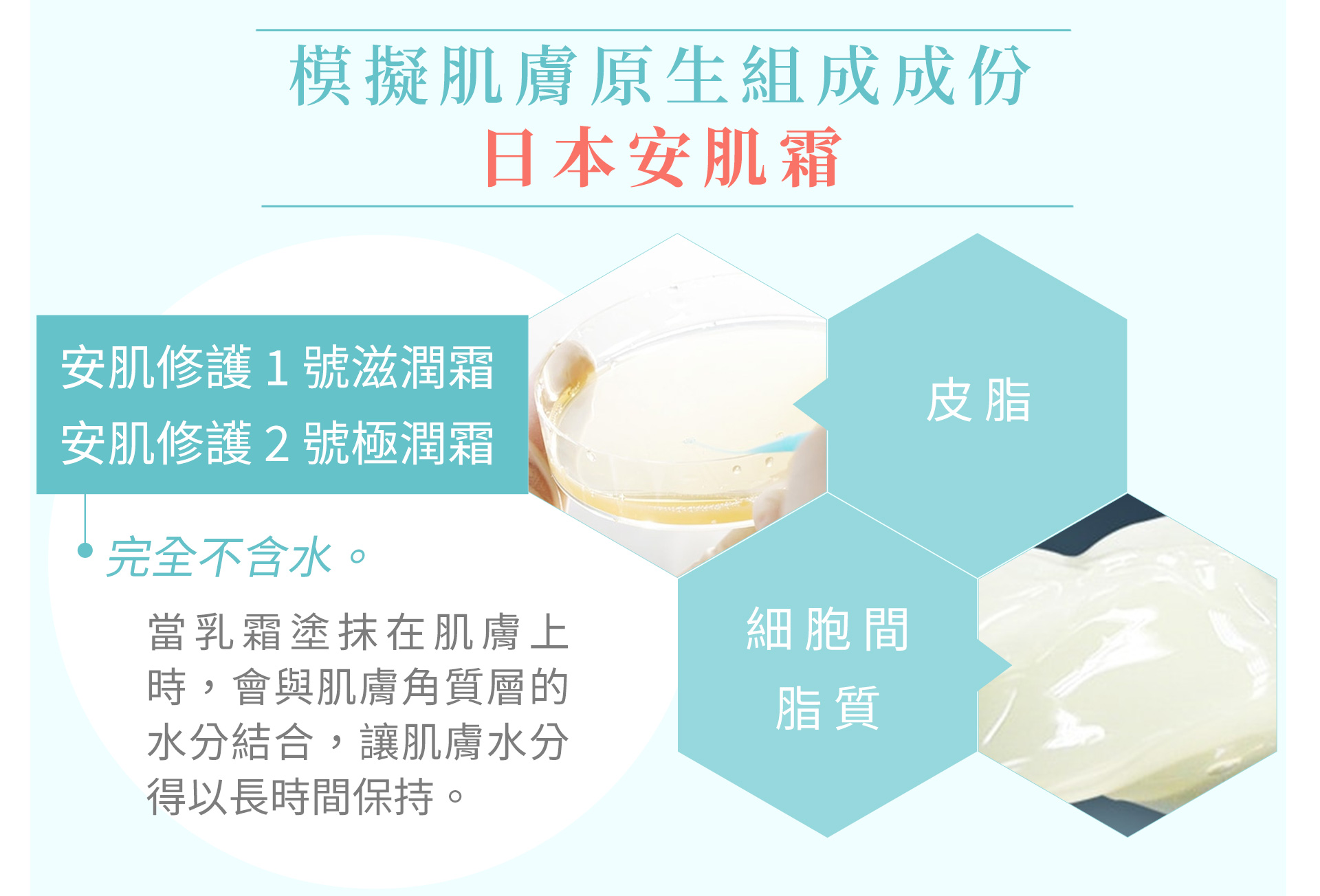 滿版banner