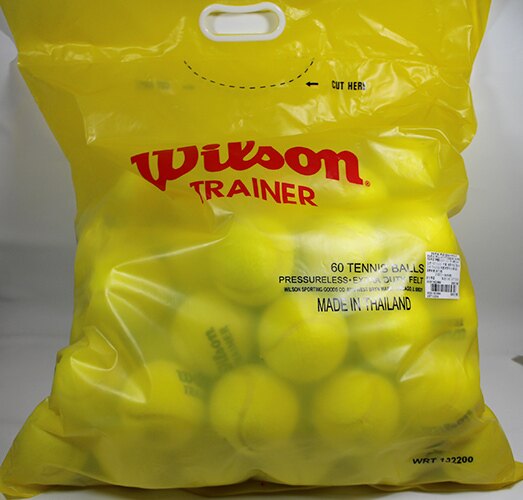 wilson trainer balls