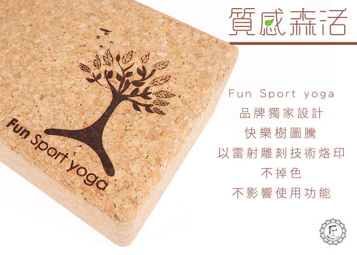 Fun Sport è¡èçå¿«æ¨æ¨¹ç°ä¿è»æ¨ççç£(80度)