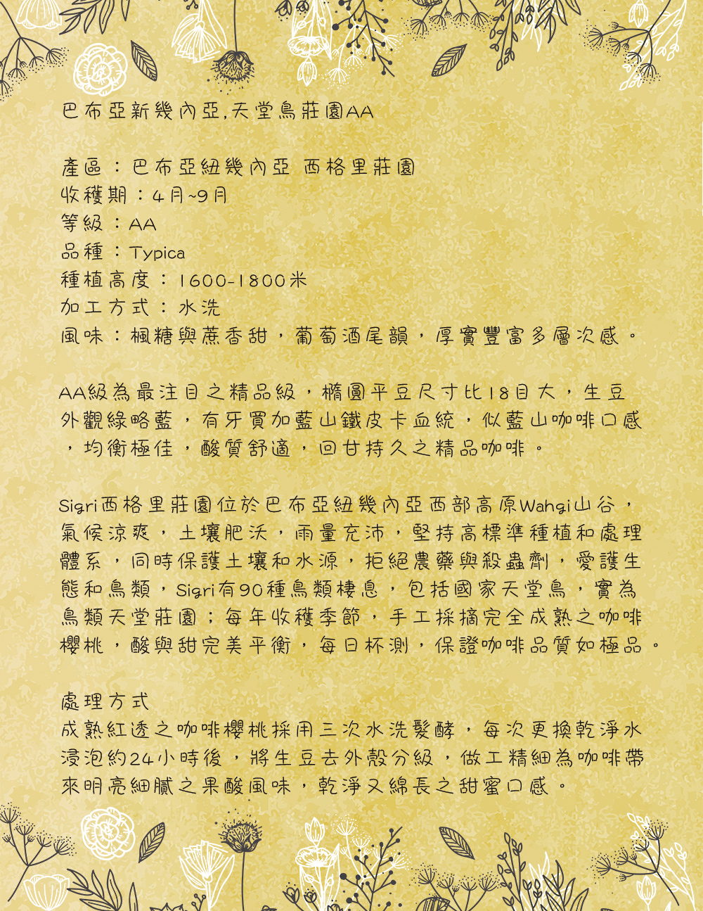 莊園單品 天堂鳥莊園aa 濾掛10入 巴布亞新幾內亞 Yahoo奇摩拍賣