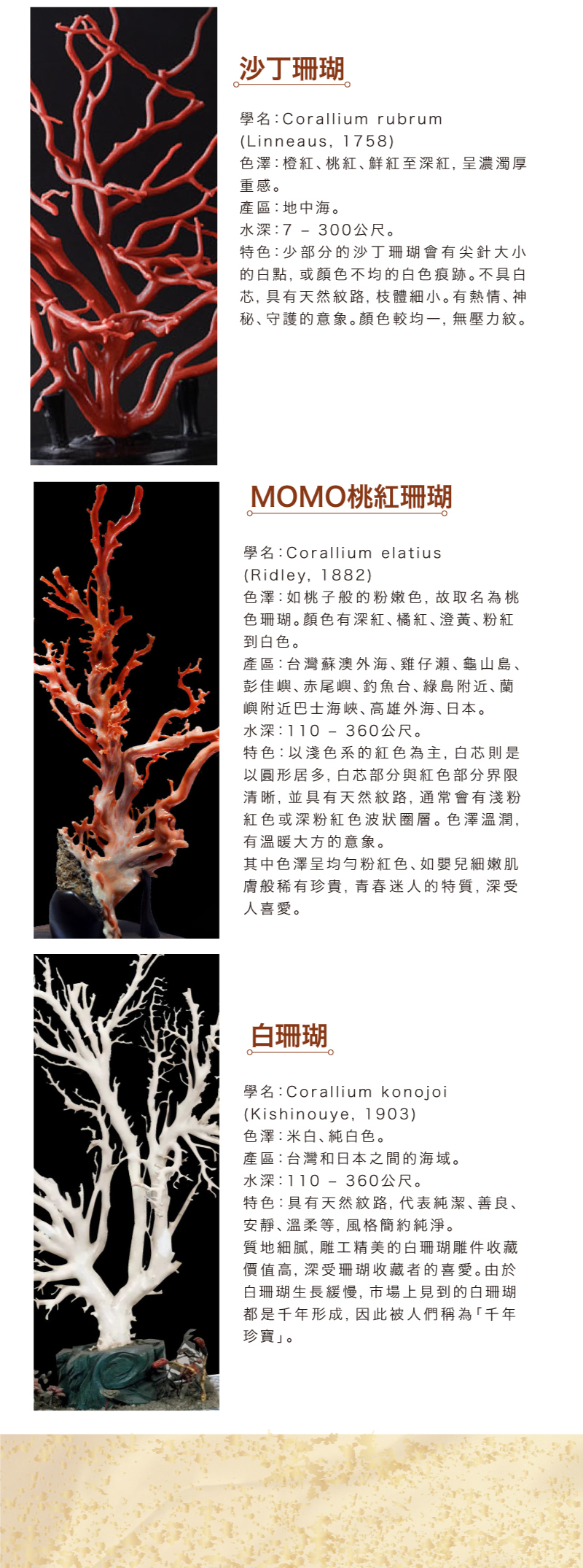 Lotas 戀情 粉珊瑚angel Skin紅石榴手鍊 Lotas 輕珠寶 Lotas 戀情 粉珊瑚angel Skin紅石榴手鍊 Lotas 輕珠寶