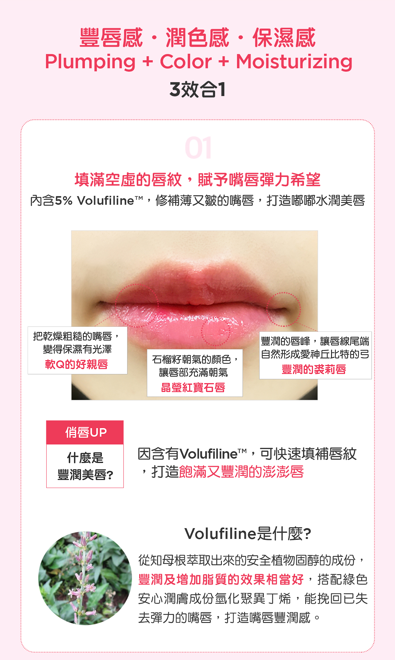 FRUDIA Confirmed Lips Honey Pomegranate Rich Lip Balm Lip Balm - ลิปกลอส - สารสกัดไม้ก๊อก หลากหลายสี