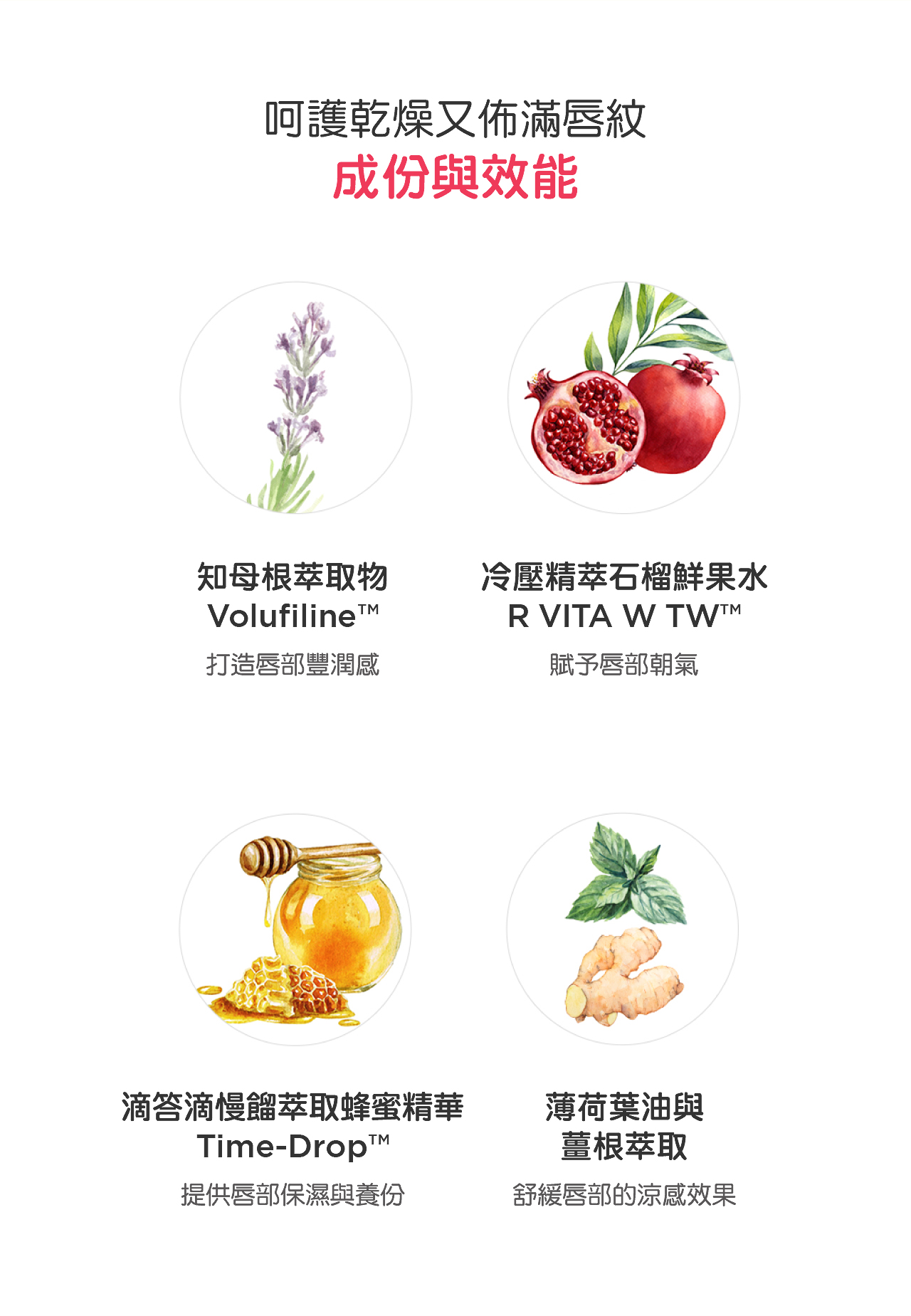FRUDIA Confirmed Lips Honey Pomegranate Rich Lip Balm Lip Balm - ลิปกลอส - สารสกัดไม้ก๊อก หลากหลายสี