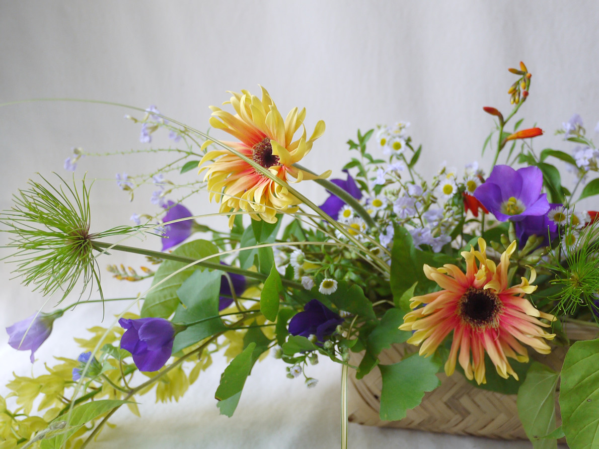 基礎花藝系列課 每隔週五 每隔週六 想想好事商行