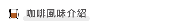 想望咖啡,精品咖啡,咖啡掛耳,濾掛,禮盒,中秋禮盒,聖誕禮盒,送禮,推薦,手沖咖啡,三分之二