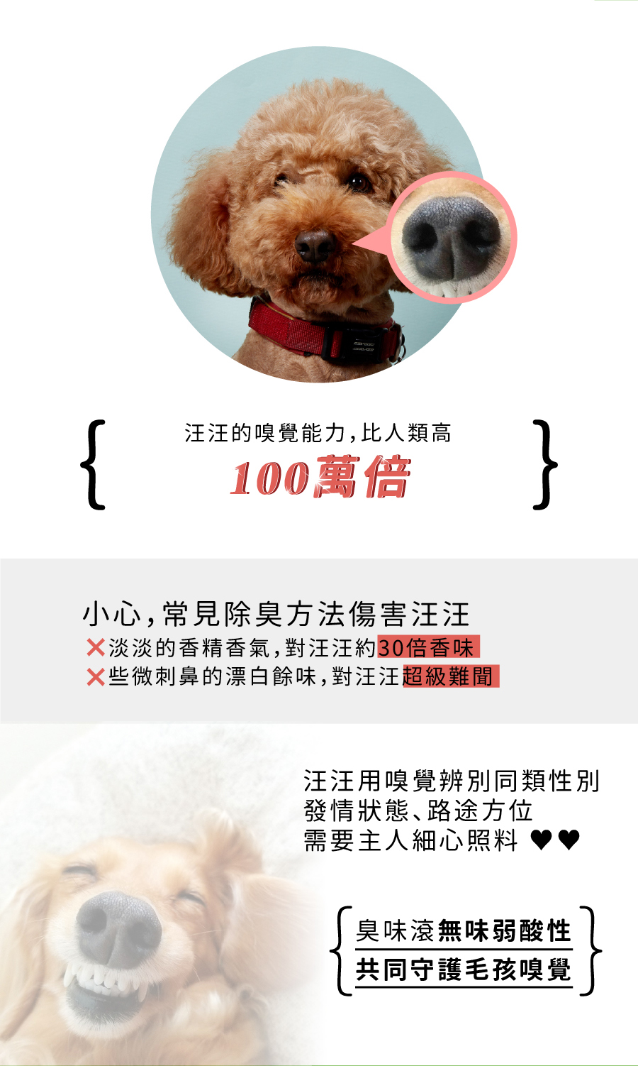 <p style="font-weight: 400"><b>居家清潔系列</b></p> <p style="font-weight: 400"><b>臭味滾 除臭抑菌噴霧</b></p> <p style="font-weight: 400"><b>添加柿子萃取物，除臭裡升級</b></p> <p style="font-weight: 400"></p> <p style="font-weight: 400">主要成份：純水、界面活性劑、抑菌劑。</p> <p style="font-weight: 400"></p> <p style="font-weight: 400">特色功效</p> <p style="font-weight: 400"><b>★無香精</b><b> </b><b>不傷毛孩嗅覺</b></p> <p style="font-weight: 400">⚠香精、漂白水餘味過於刺激毛孩嗅覺</p> <p style="font-weight: 400"><b>無色無味，使用分解除臭</b><b> </b><b>非香味覆蓋</b></p> <p style="font-weight: 400"></p> <p style="font-weight: 400"><b>★</b><b>30</b><b>秒快速消除臭味</b></p> <p style="font-weight: 400">即刻救援！輕鬆生理</p> <p style="font-weight: 400"><b>30秒快速分解異味尿味</b></p> <p style="font-weight: 400"></p> <p style="font-weight: 400"><b>★除臭</b><b>抑菌防黴一次搞定</b></p> <p style="font-weight: 400">SGS檢驗證明抑菌防黴</p> <p style="font-weight: 400"><b>保護毛孩與家人</b></p> <p style="font-weight: 400"></p> <p style="font-weight: 400"><b>★大範圍</b><b>噴頭</b></p> <p style="font-weight: 400">水霧細緻大範圍噴頭</p> <p style="font-weight: 400"><b>迅速滲透臭源</b></p> <p style="font-weight: 400"></p> <p style="font-weight: 400">用途廣泛</p> <p style="font-weight: 400">尿墊、貓砂盆、衣物、沙發、地板、外出籠、床墊、寵物床</p> <p style="font-weight: 400"></p> <p style="font-weight: 400">使用方式</p> <p style="font-weight: 400">直接噴往臭味來源（尿味、異味）</p> <p style="font-weight: 400">等待30秒讓其自然風乾即可</p> <p style="font-weight: 400">依臭味範圍與程度增加按壓次數</p> <p style="font-weight: 400"> ⚠不含香精，對空氣噴無效</p> <p style="font-weight: 400"></p> <p style="font-weight: 400">注意事項：請勿與其他洗潔產品混用，以免影響產品使用效果。</p> <p style="font-weight: 400"></p> <p style="font-weight: 400">※圖片只供參考，一切以實物為準。</p>