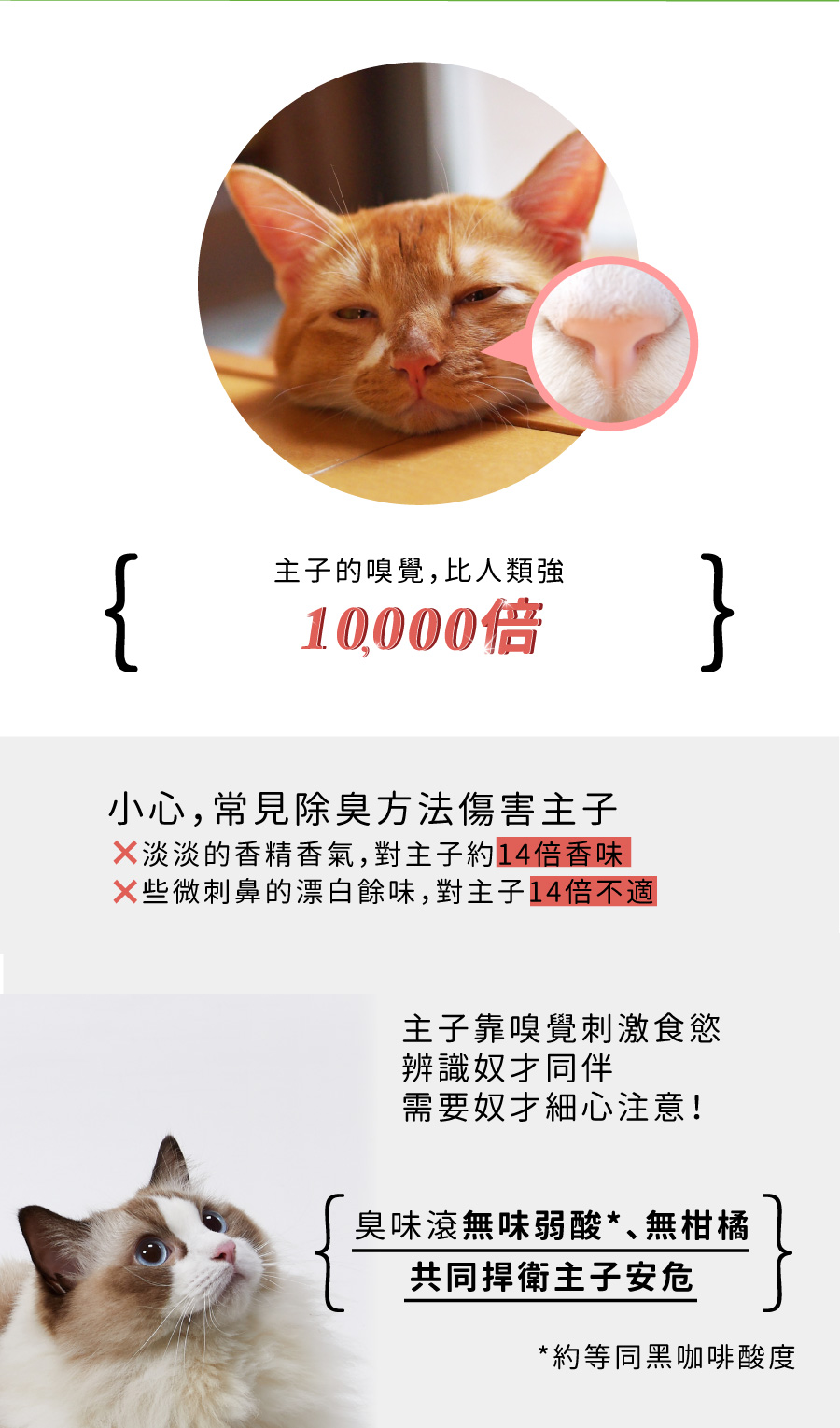 <p style="font-weight: 400"><b>居家清潔系列</b></p> <p style="font-weight: 400"><b>臭味滾 除臭抑菌噴霧</b></p> <p style="font-weight: 400"><b>添加柿子萃取物,除臭裡升級</b></p> <p style="font-weight: 400"></p> <p style="font-weight: 400">主要成份:純水、界面活性劑、抑菌劑。</p> <p style="font-weight: 400"></p> <p style="font-weight: 400">特色功效</p> <p style="font-weight: 400"><b>★無香精</b><b> </b><b>不傷貓孩嗅覺</b></p> <p style="font-weight: 400">⚠香精、漂白水餘味過於刺激毛孩嗅覺</p> <p style="font-weight: 400"><b>無色無味,使用分解除臭</b><b> </b><b>非香味覆蓋</b></p> <p style="font-weight: 400"></p> <p style="font-weight: 400"><b>★</b><b>30</b><b>秒快速消除臭味</b></p> <p style="font-weight: 400">即刻救援!輕鬆生理</p> <p style="font-weight: 400"><b>30秒快速分解異味尿味</b></p> <p style="font-weight: 400"></p> <p style="font-weight: 400"><b>★除臭</b><b>抑菌防黴一次搞定</b></p> <p style="font-weight: 400">SGS檢驗證明抑菌防黴</p> <p style="font-weight: 400"><b>保護毛孩與家人</b></p> <p style="font-weight: 400"></p> <p style="font-weight: 400"><b>★大範圍</b><b>噴頭</b></p> <p style="font-weight: 400">水霧細緻大範圍噴頭</p> <p style="font-weight: 400"><b>迅速滲透臭源</b></p> <p style="font-weight: 400"></p> <p style="font-weight: 400">用途廣泛</p> <p style="font-weight: 400">尿墊、貓砂盆、衣物、沙發、地板、外出籠、床墊、寵物床</p> <p style="font-weight: 400"></p> <p style="font-weight: 400">使用方式</p> <p style="font-weight: 400">直接噴往臭味來源(尿味、異味)</p> <p style="font-weight: 400">等待30秒讓其自然風乾即可</p> <p style="font-weight: 400">依臭味範圍與程度增加按壓次數</p> <p style="font-weight: 400"> ⚠不含香精,對空氣噴無效</p> <p style="font-weight: 400"></p> <p style="font-weight: 400">注意事項:請勿與其他洗潔產品混用,以免影響產品使用效果。</p>