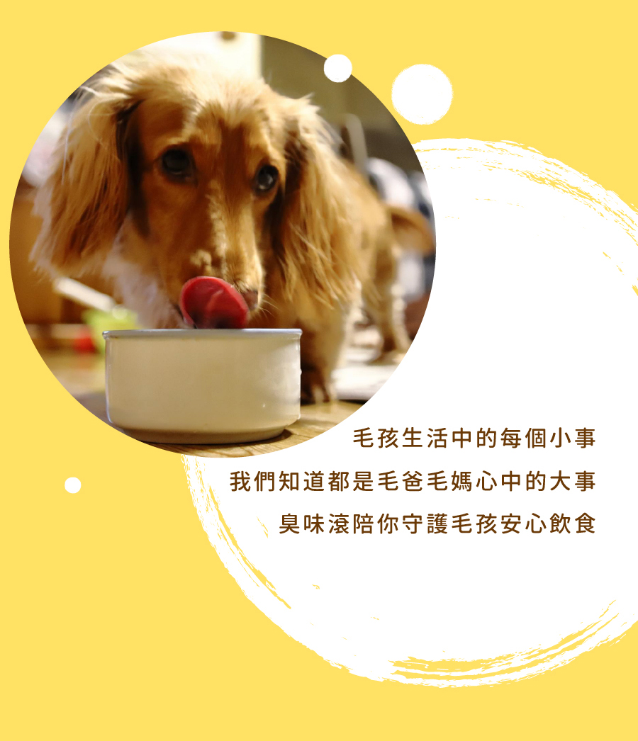 <p style="font-weight: 400"><b>居家清潔系列</b></p>
<p style="font-weight: 400"><b>臭味滾</b><b> </b><b>食器洗滌劑</b></p>
<p style="font-weight: 400"><b>無香精／分解口水／細小分子／潤膚成份</b></p>
<p style="font-weight: 400">
<p style="font-weight: 400">目前寵物以鮮食及飼料為主，盛裝於食器內，油脂容易堆積在容器的孔隙內，不易察覺，</p>
<p style="font-weight: 400">進而滋生大腸桿菌和金黃色葡萄球菌，影響毛孩健康。</p>
<p style="font-weight: 400">飼主們可以使用能徹底洗淨的臭味滾食器洗滌劑，照顧寵物的健康。</p>
<p style="font-weight: 400"><b>主要成份：</b>純水、棕櫚油、椰子油、界面活性劑、抑菌劑。</p>
<p style="font-weight: 400">
<p style="font-weight: 400"><b>特色功效</b></p>
<p style="font-weight: 400"><b>★</b><b>無香精 不傷毛孩嗅覺</b></p>
<p style="font-weight: 400">保護寵物嗅覺 照顧毛孩健康</p>
<p style="font-weight: 400">無添加茶樹及柑橘等有害毛孩成份</p>
<p style="font-weight: 400">洗滌餐具後用清水沖洗即可</p>
<p style="font-weight: 400">
<p style="font-weight: 400"><b>★</b><b>分解口水黏液</b></p>
<p style="font-weight: 400">專門針對分解寵物黏膩口水所設計</p>
<p style="font-weight: 400">擺脫餐具的滑溜黏膩感</p>
<p style="font-weight: 400">
<p style="font-weight: 400"><b>★細小分子</b></p>
<p style="font-weight: 400">食器洗潔劑的細小分子能夠</p>
<p style="font-weight: 400">深入孔隙溶解並清除碗盤的陳年油垢</p>
<p style="font-weight: 400"><b> </b></p>
<p style="font-weight: 400"><b>★添加潤膚因子</b></p>
<p style="font-weight: 400">照顧飼主手部肌膚，滋潤不傷手。</p>
<p style="font-weight: 400">
<p style="font-weight: 400"><b>清潔原理</b></p>
<p style="font-weight: 400">一般洗碗精只能清除食器表面，無法深入孔隙。時間一久便會滋生細菌，影響毛孩健康。</p>
<p style="font-weight: 400">l  他牌洗潔精</p>
<p style="font-weight: 400">l  臭味滾食器洗滌劑</p>
<p style="font-weight: 400">l  洗滌方式</p>
<p style="font-weight: 400">l  食器洗滌劑分子較小，深入孔隙中做分解達到清潔</p>
<p style="font-weight: 400"><b>適用範圍</b></p>
<p style="font-weight: 400">塑膠及鐵製碗盤、沾有口水的塑膠玩具等。</p>
<p style="font-weight: 400">
<p style="font-weight: 400"><b>使用方式</b></p>
<p style="font-weight: 400">直接沾於菜瓜布、海綿等食品清洗工具上使用。</p>
<p style="font-weight: 400"><b>注意事項：</b>請勿與其他洗潔產品混用，以免影響產品使用效果。</p>
<p style="font-weight: 400">※圖片只供參考，一切以實物為準。</p>
<p style="font-weight: 400">