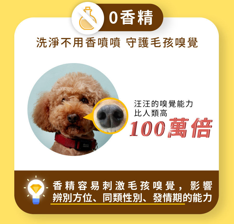 <p style="font-weight: 400"><b>居家清潔系列</b></p>
<p style="font-weight: 400"><b>臭味滾</b><b> </b><b>食器洗滌劑</b></p>
<p style="font-weight: 400"><b>無香精／分解口水／細小分子／潤膚成份</b></p>
<p style="font-weight: 400">
<p style="font-weight: 400">目前寵物以鮮食及飼料為主，盛裝於食器內，油脂容易堆積在容器的孔隙內，不易察覺，</p>
<p style="font-weight: 400">進而滋生大腸桿菌和金黃色葡萄球菌，影響毛孩健康。</p>
<p style="font-weight: 400">飼主們可以使用能徹底洗淨的臭味滾食器洗滌劑，照顧寵物的健康。</p>
<p style="font-weight: 400"><b>主要成份：</b>純水、棕櫚油、椰子油、界面活性劑、抑菌劑。</p>
<p style="font-weight: 400">
<p style="font-weight: 400"><b>特色功效</b></p>
<p style="font-weight: 400"><b>★</b><b>無香精 不傷毛孩嗅覺</b></p>
<p style="font-weight: 400">保護寵物嗅覺 照顧毛孩健康</p>
<p style="font-weight: 400">無添加茶樹及柑橘等有害毛孩成份</p>
<p style="font-weight: 400">洗滌餐具後用清水沖洗即可</p>
<p style="font-weight: 400">
<p style="font-weight: 400"><b>★</b><b>分解口水黏液</b></p>
<p style="font-weight: 400">專門針對分解寵物黏膩口水所設計</p>
<p style="font-weight: 400">擺脫餐具的滑溜黏膩感</p>
<p style="font-weight: 400">
<p style="font-weight: 400"><b>★細小分子</b></p>
<p style="font-weight: 400">食器洗潔劑的細小分子能夠</p>
<p style="font-weight: 400">深入孔隙溶解並清除碗盤的陳年油垢</p>
<p style="font-weight: 400"><b> </b></p>
<p style="font-weight: 400"><b>★添加潤膚因子</b></p>
<p style="font-weight: 400">照顧飼主手部肌膚，滋潤不傷手。</p>
<p style="font-weight: 400">
<p style="font-weight: 400"><b>清潔原理</b></p>
<p style="font-weight: 400">一般洗碗精只能清除食器表面，無法深入孔隙。時間一久便會滋生細菌，影響毛孩健康。</p>
<p style="font-weight: 400">l  他牌洗潔精</p>
<p style="font-weight: 400">l  臭味滾食器洗滌劑</p>
<p style="font-weight: 400">l  洗滌方式</p>
<p style="font-weight: 400">l  食器洗滌劑分子較小，深入孔隙中做分解達到清潔</p>
<p style="font-weight: 400"><b>適用範圍</b></p>
<p style="font-weight: 400">塑膠及鐵製碗盤、沾有口水的塑膠玩具等。</p>
<p style="font-weight: 400">
<p style="font-weight: 400"><b>使用方式</b></p>
<p style="font-weight: 400">直接沾於菜瓜布、海綿等食品清洗工具上使用。</p>
<p style="font-weight: 400"><b>注意事項：</b>請勿與其他洗潔產品混用，以免影響產品使用效果。</p>
<p style="font-weight: 400">※圖片只供參考，一切以實物為準。</p>
<p style="font-weight: 400">