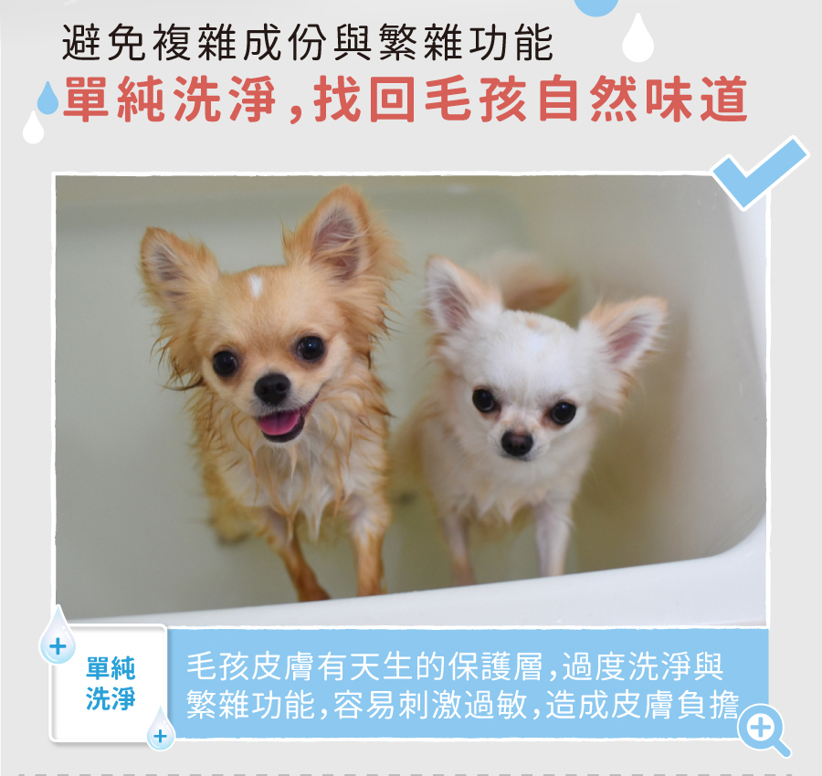 <p style="font-weight: 400">無香除臭 / 深層潔淨 / 低敏配方 / 護膚成份</p>
<p style="font-weight: 400">
<p style="font-weight: 400"><b><strong>產品特色</strong></b></p>
<p style="font-weight: 400"><b><strong>不添加香精</strong></b></p>
<p style="font-weight: 400">不刺激寵物嗅覺</p>
<p style="font-weight: 400"><b><strong>添加柿子萃取物</strong></b></p>
<p style="font-weight: 400">延長除臭時間</p>
<p style="font-weight: 400"><b><strong>低敏配方</strong></b></p>
<p style="font-weight: 400">增加除臭功效</p>
<p style="font-weight: 400"><b><strong>護膚成份</strong></b></p>
<p style="font-weight: 400">保護主人白皙雙手</p>
<p style="font-weight: 400">
<p style="font-weight: 400"><b><strong>使用方法</strong></b></p>
<ol>
<li style="font-weight: 400">以水將毛髮徹底打濕</li>
<li style="font-weight: 400">將洗毛液輕輕搓揉至產生泡沫</li>
</ol>
<p style="font-weight: 400">注意：為了降低過敏發生，我們減少了起泡劑的使用</p>
<p><span style="font-weight: 400">3. 洗淨後擦乾或吹乾</span></p>