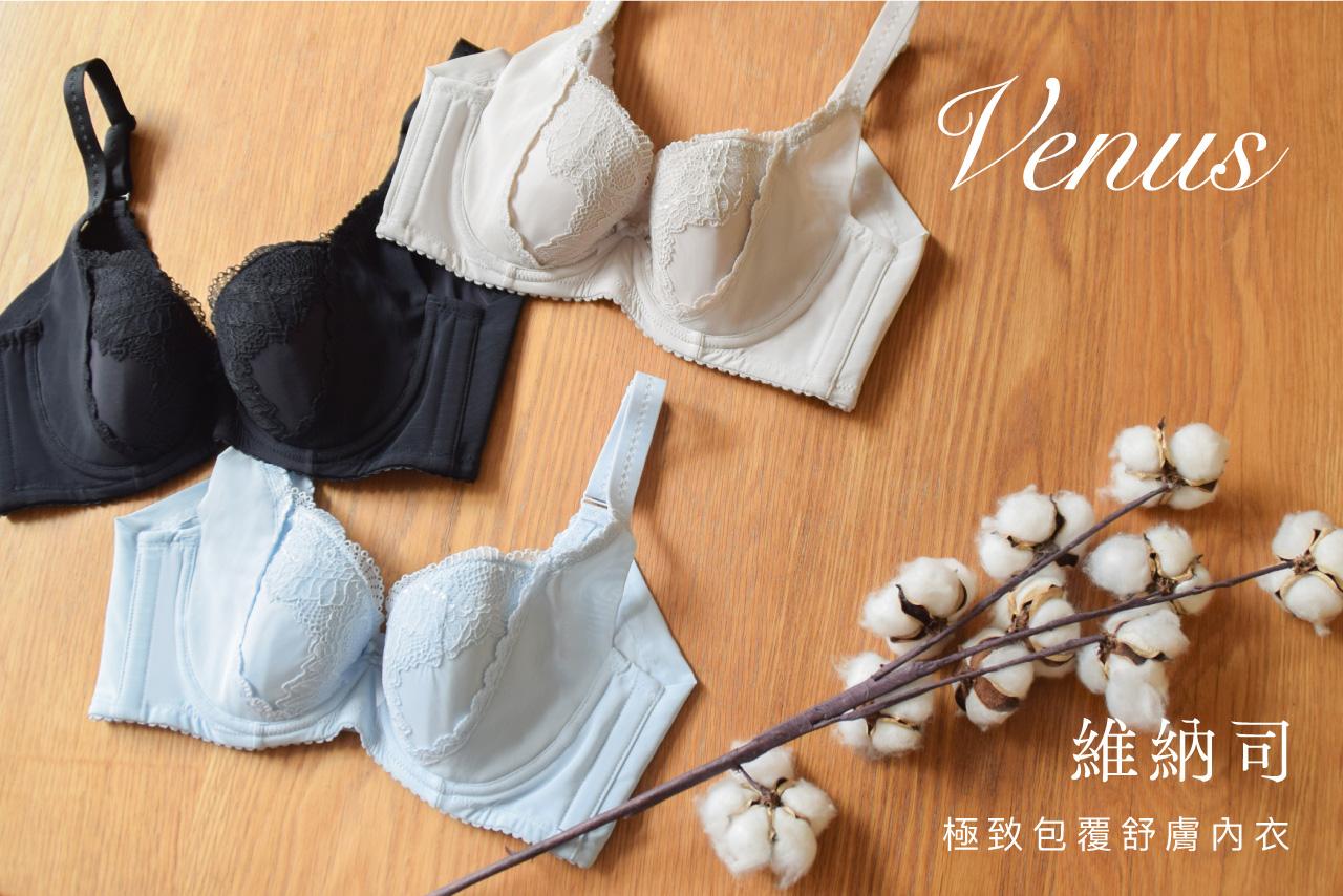 波莱琪】Venus Ultimate Covering Comfortable Underwear bF Cup / Beige - Shop  Delicate Touch Women's Underwear - Pinkoi