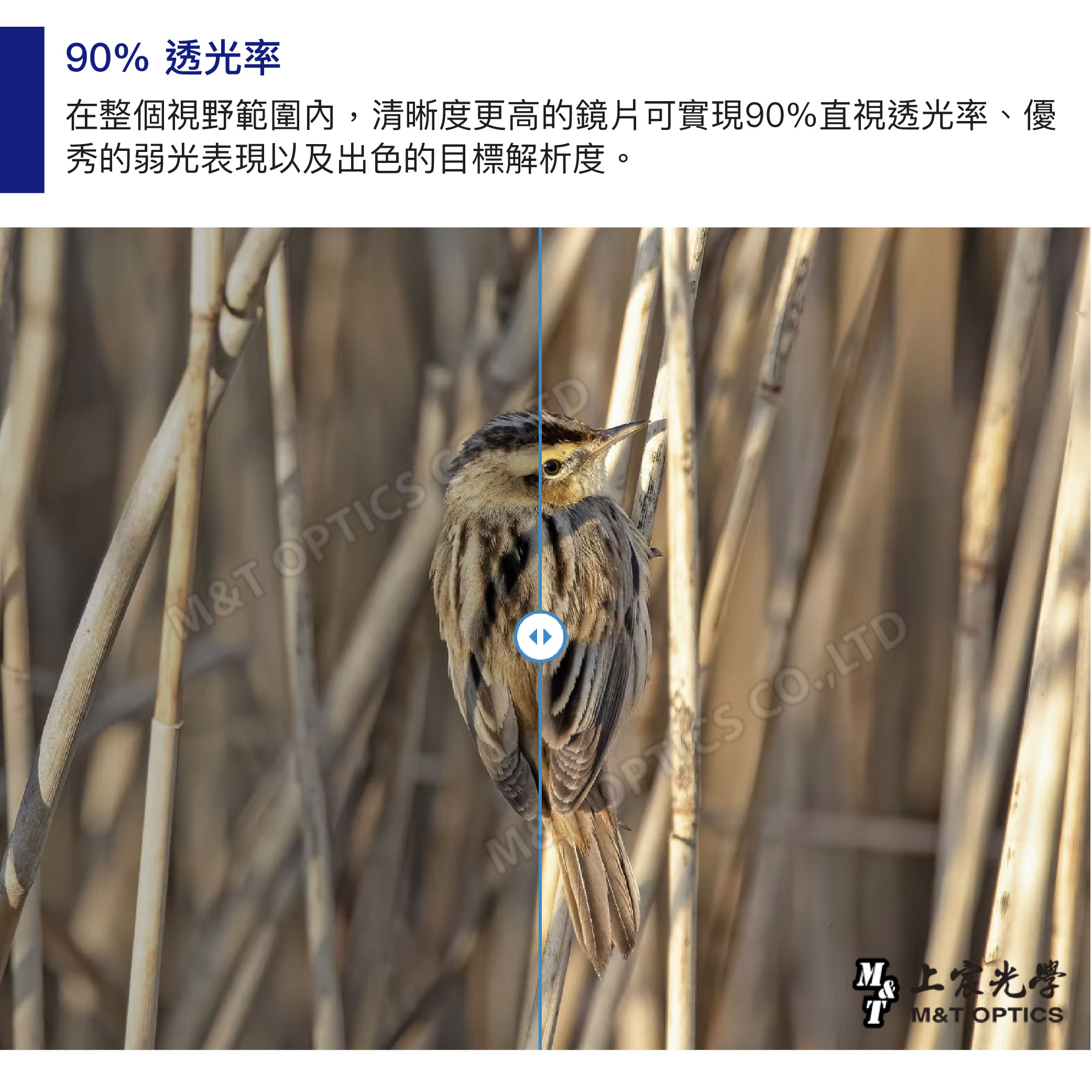 90% 透光率在整個視野範圍內清晰度更高的鏡片可實現90%直視透光率、優秀的弱光表現以及出色的目標解析度。M&T OPTICS , LTDT M&T OPTICS