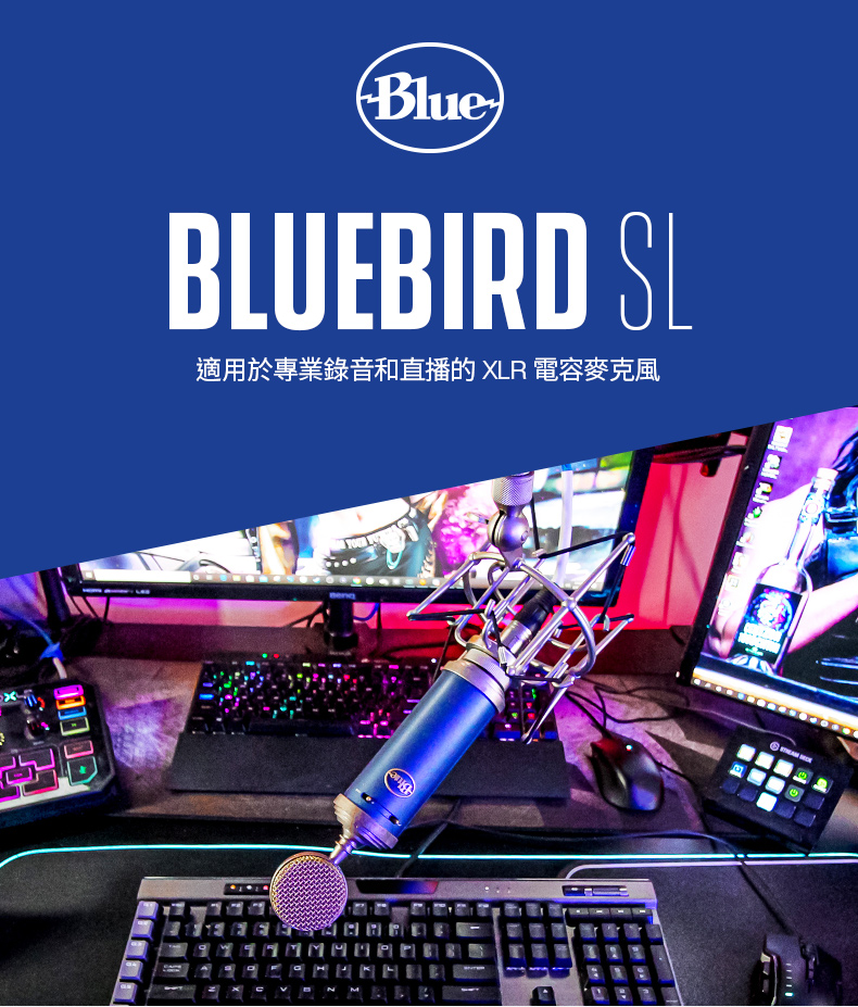 Bluebird SL 專業麥克風| 羅技Logi 網路旗艦店