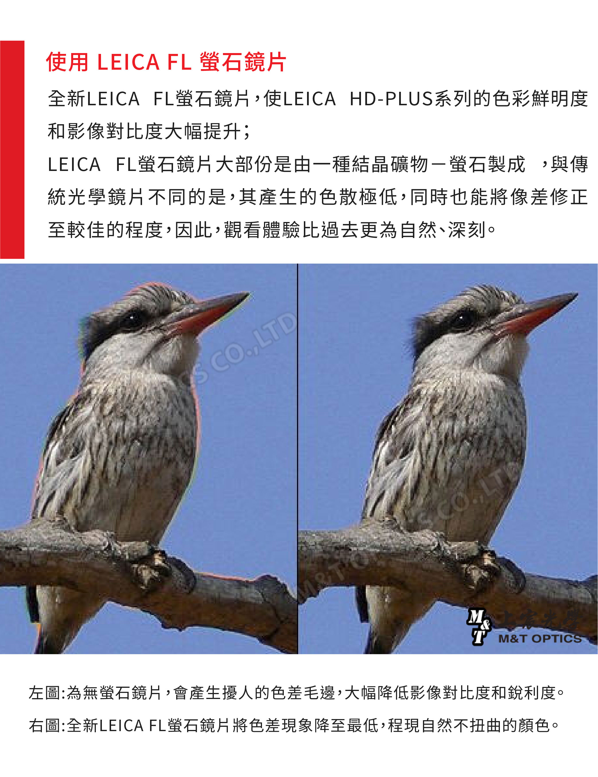 使用 LEICA FL 鏡片全新LEICA FL螢石鏡片,使LEICA HD-PLUS系列的色彩鮮明度和影像對比度大幅提升;LEICA FL螢石鏡片大部份是由一種結晶礦物-螢石製成,與傳統光學鏡片不同的是,其產生的色散極低,同時也能將像差修正至較佳的程度,因此,觀看體驗比過去更為自然、深刻。 CO.,LTDTM®T M&T OPTICS左圖:為無螢石鏡片,會產生擾人的色差毛邊,大幅降低影像對比度和銳利度。右圖:全新LEICA FL螢石鏡片將色差現象降至最低,程現自然不扭曲的顏色。