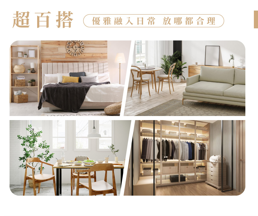 圖片介紹 圖片介紹