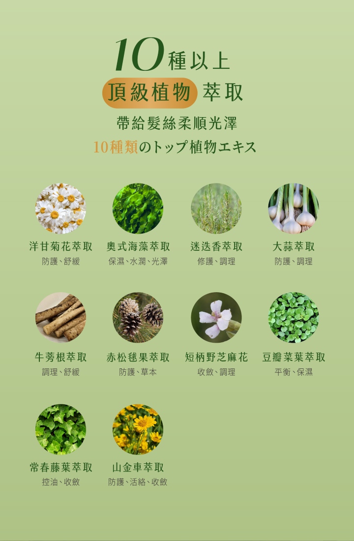 10種以上頂級植物萃取帶給髮絲柔順光澤10種類の卜植物工洋甘菊花萃取防護、舒緩式海藻萃取保濕、水潤、光澤迷迭香萃取修護、調理大蒜萃取防護、調理牛蒡根萃取調理、舒緩赤松毬果萃取防護、草本短柄野芝麻花豆瓣菜葉萃取收斂、調理平衡、保濕常春藤葉萃取控油、收斂山金車萃取防護、活絡、收斂
