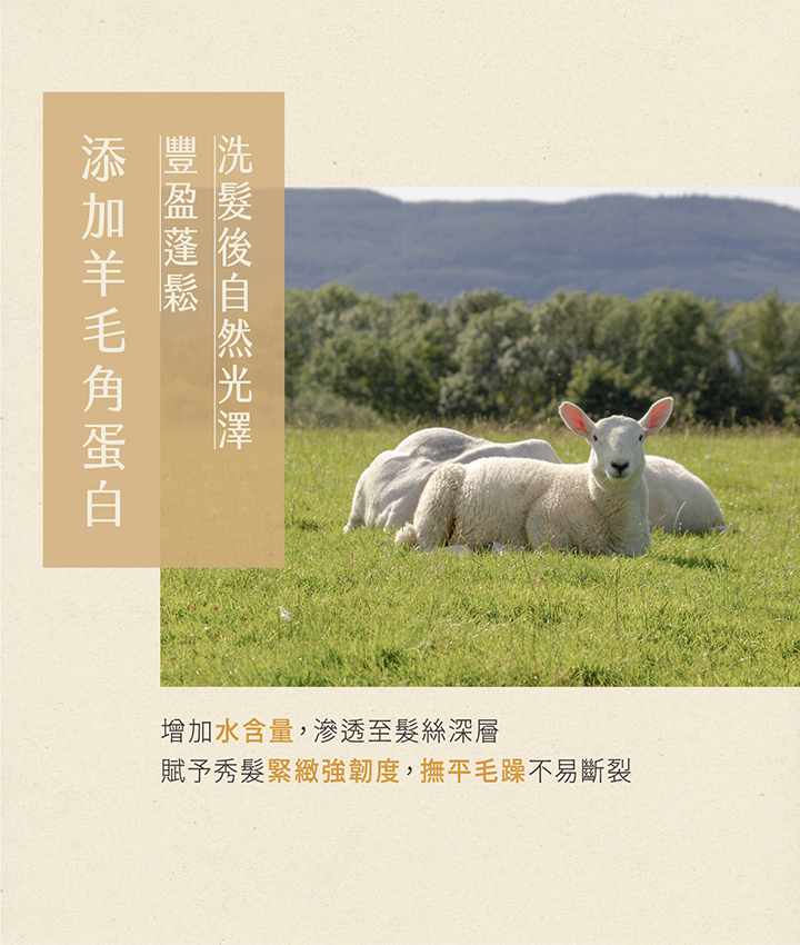 添豐增加水含量,滲透至髮絲深層賦予秀髮緊緻強韌度,撫平毛躁不易斷裂