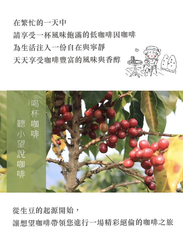 翡翠低因咖啡/中焙/無花果 杏桃 焦糖布丁 掛耳包/浸泡包 20/30入 - 咖啡/咖啡豆 - 新鮮食材 多色