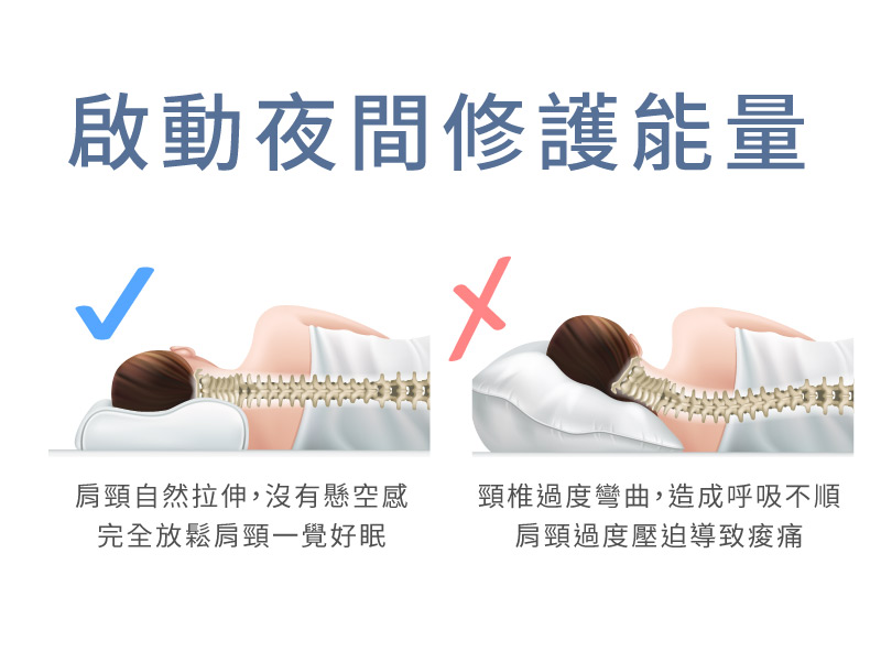 ELVIS 愛菲斯 - 保健冰涼優眠枕