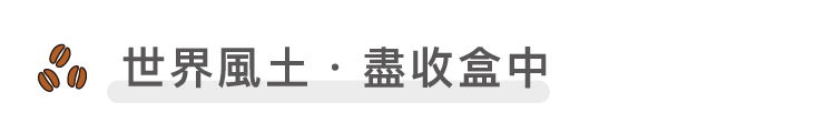 環遊世界咖啡浸泡禮盒 淺中深焙 綜合風味 20入/30入 - 咖啡/咖啡豆 - 新鮮食材 藍色