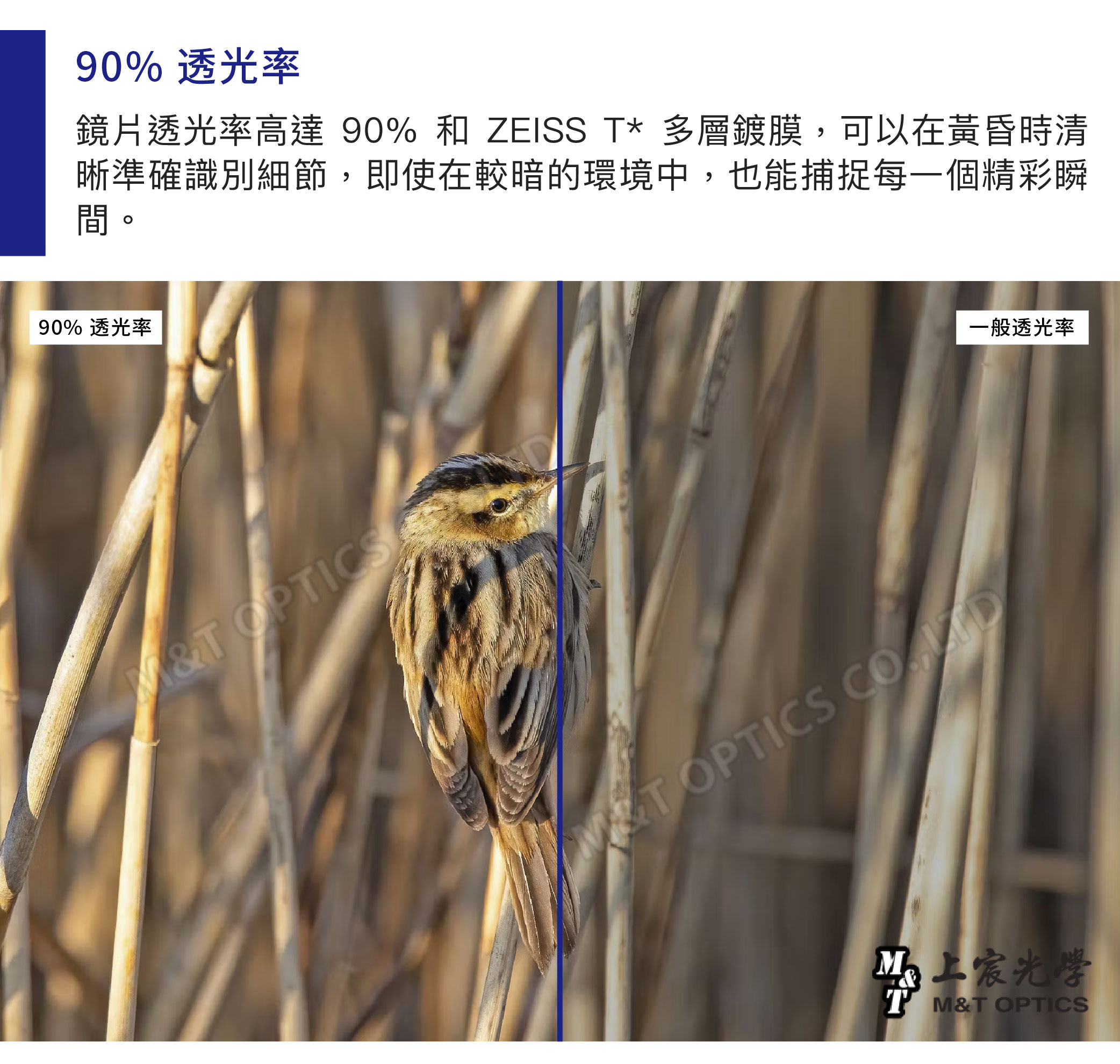 90% 透光率鏡片透光率高達 90% 和 ZEISS T* 多層鍍膜,可以在黃昏時清晰準確識別細節,即使在較暗的環境中,也能捕捉每一個精彩瞬間。90% 透光率&T OPTICS OPTICS 一般透光率&TM&T OPTICS