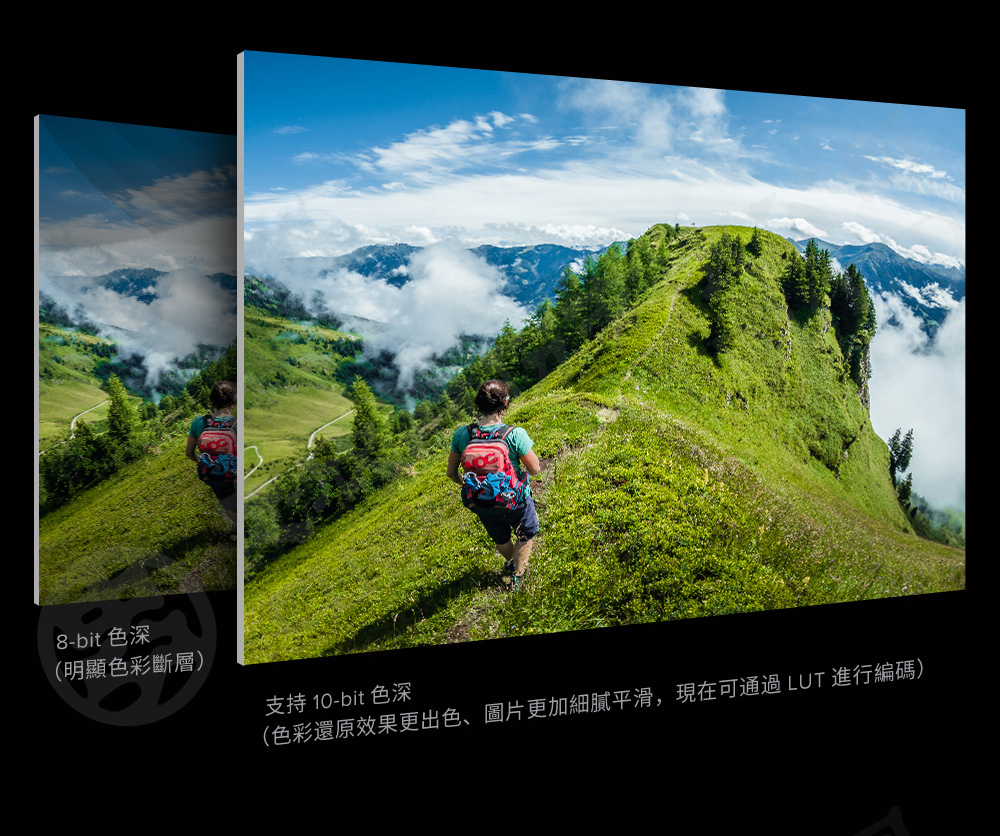 圖片介紹 圖片介紹