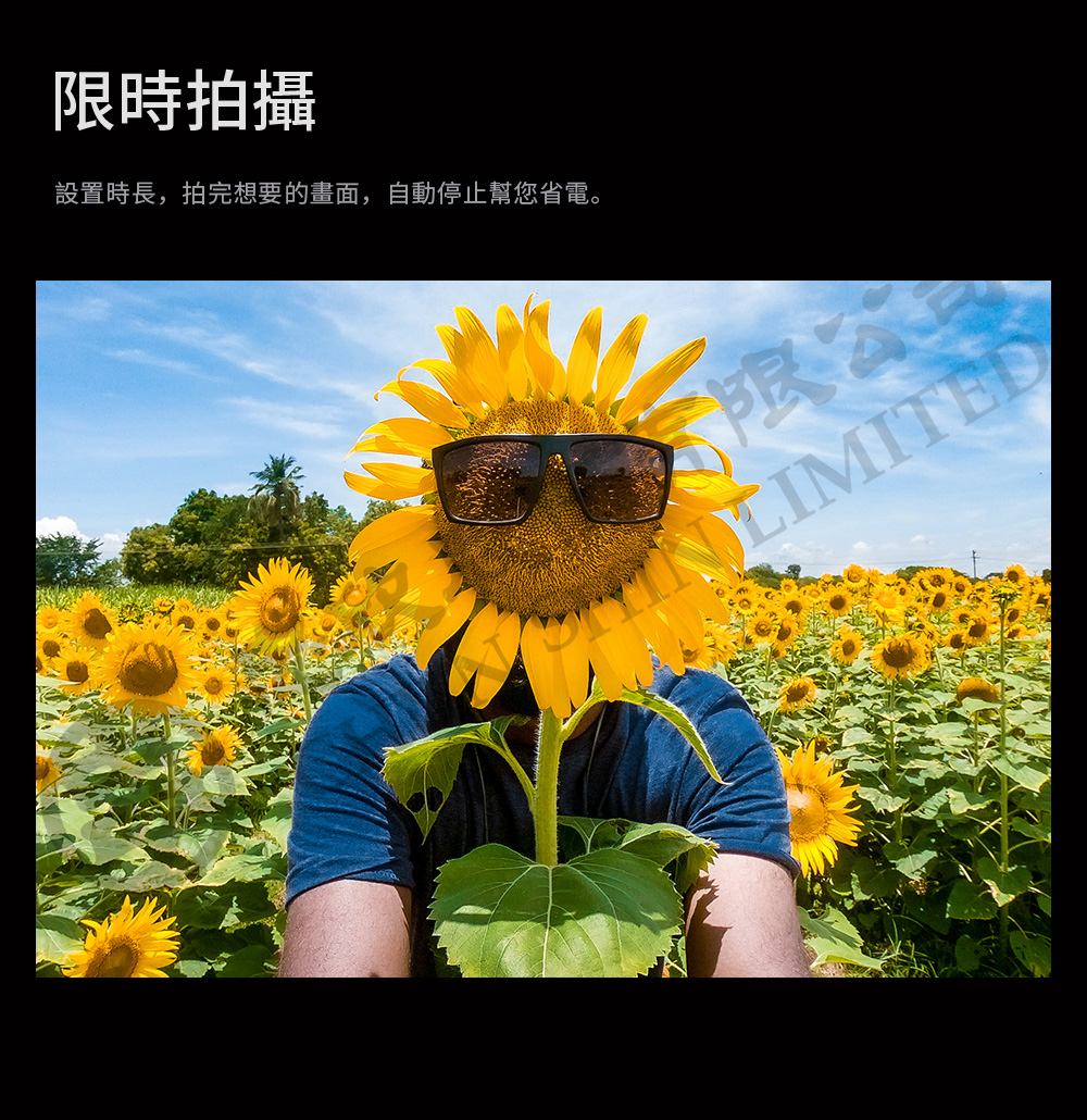 圖片介紹 圖片介紹