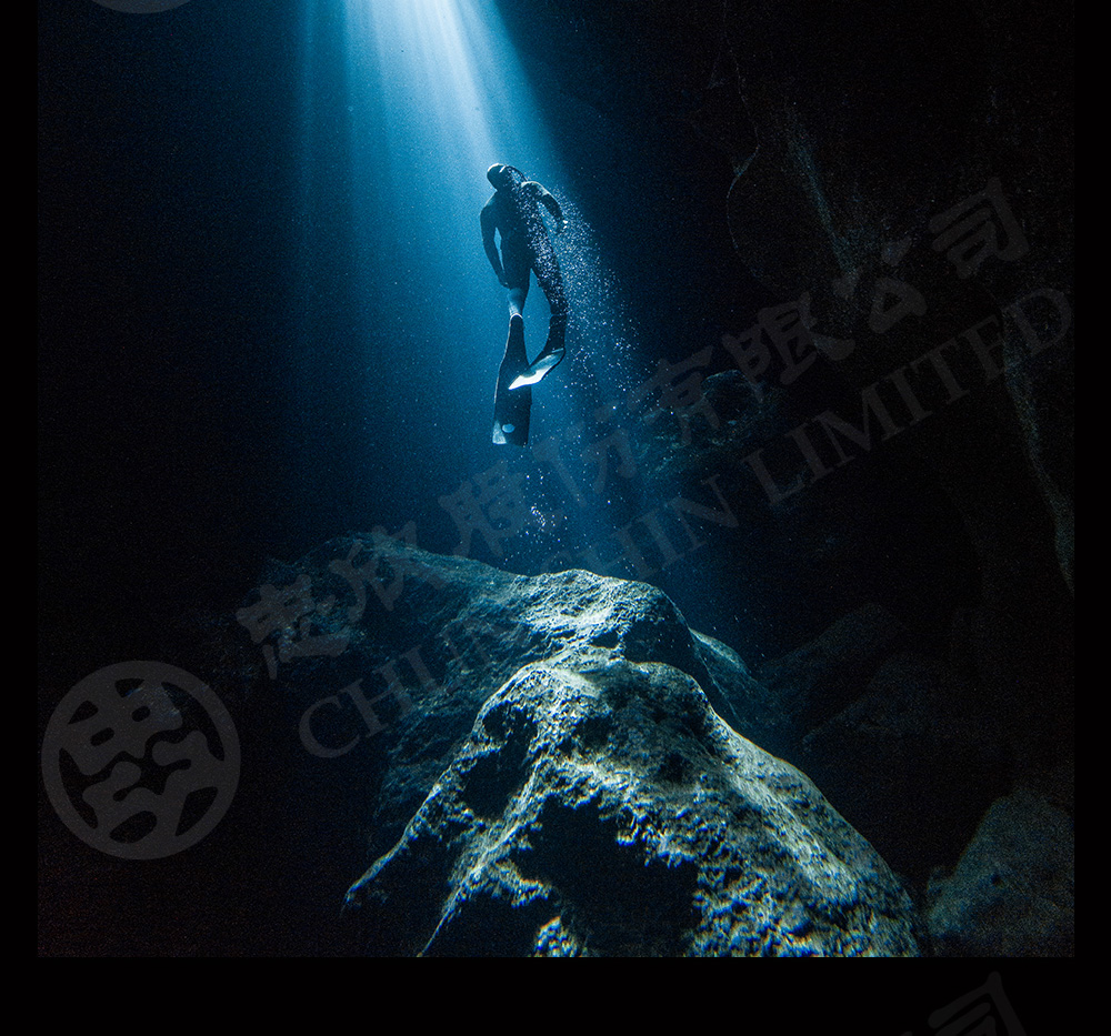 圖片介紹 圖片介紹