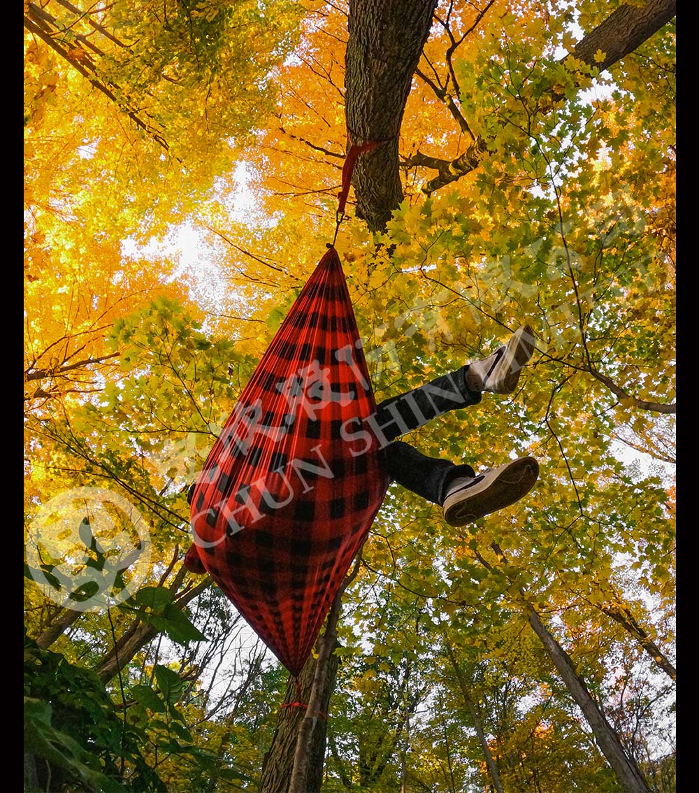 圖片介紹 圖片介紹