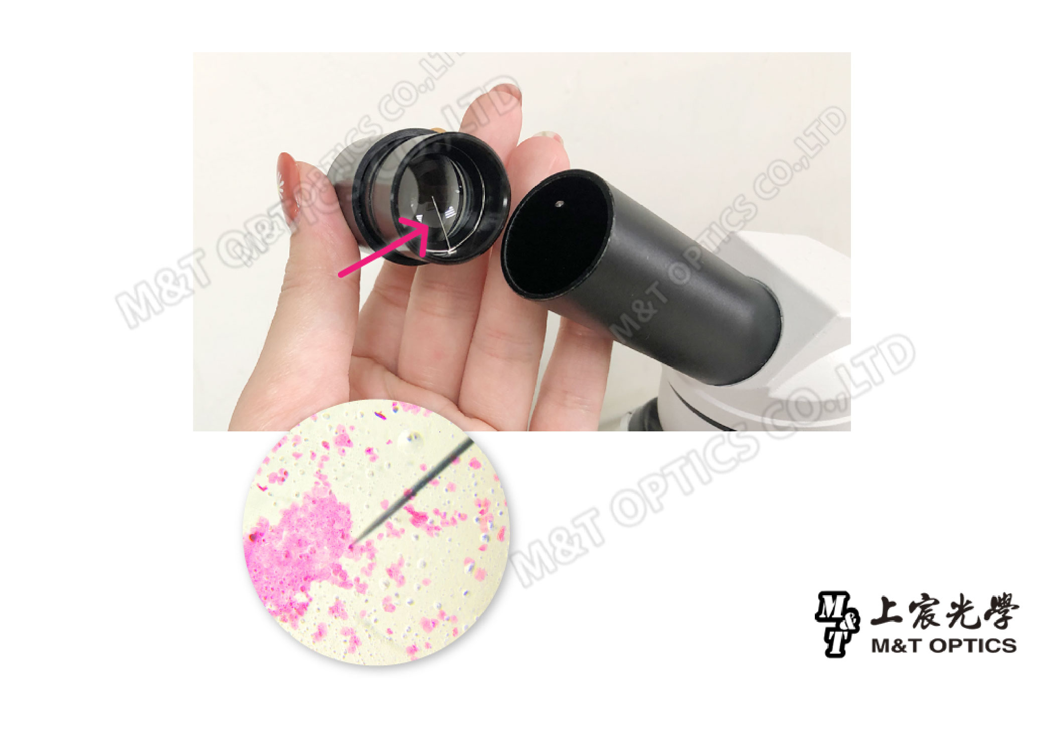 M&T M&T OPTICS LTDM&T OPTICS CO LTD光學M&T OPTICS