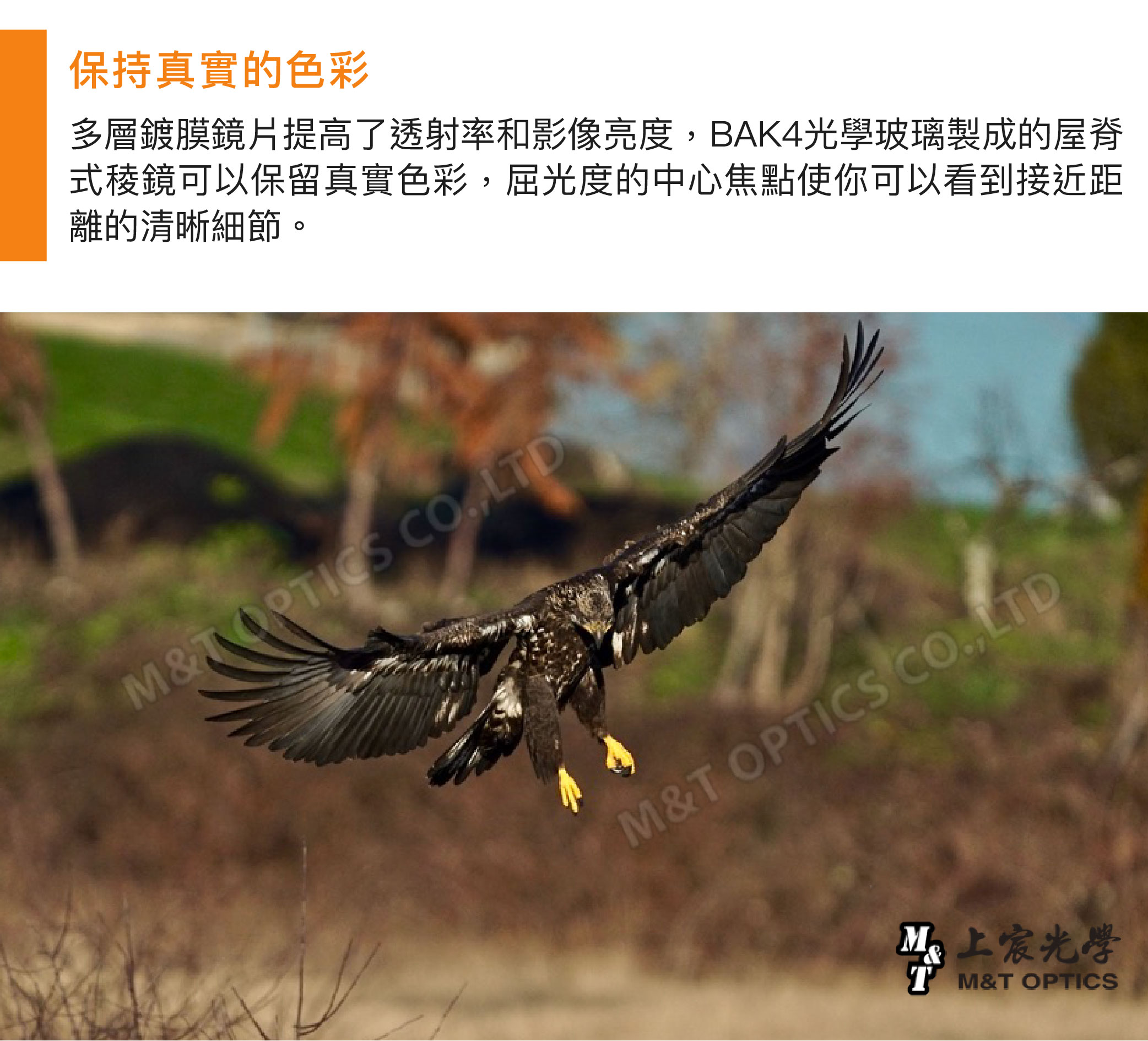 保持真實的色彩多層鍍膜鏡片提高了透射率和影像亮度BAK4玻璃製成的屋脊式稜鏡可以保留真實色彩屈光度的中心焦點使你可以看到接近距離的清晰細節。M& OPTICS CO,LTDM&T OPTICS CO.,LTD 上光學T M&T OPTICS