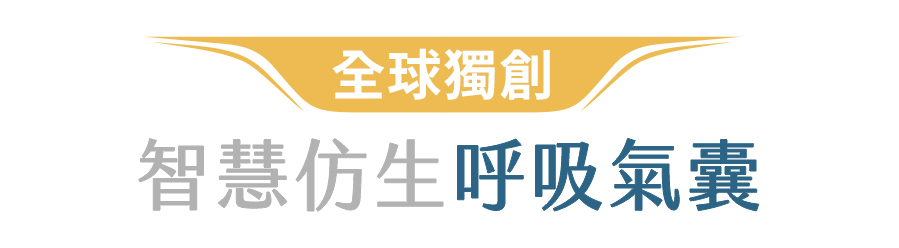 backrobo_貝果椅_人體工學椅_追腰氣囊