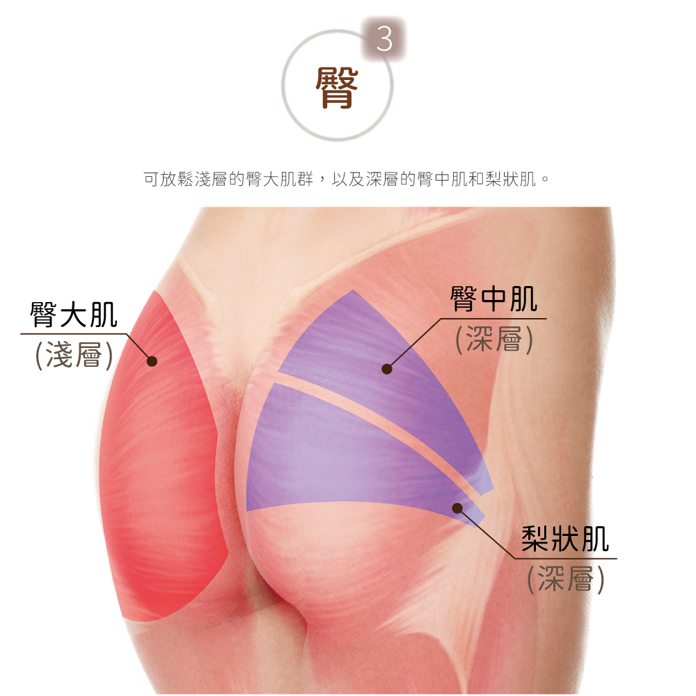 臀大肌(淺層)臀3可放鬆淺層的臀大肌群,以及深層的臀中肌和梨狀肌。臀中肌(深層)梨狀肌(深層)