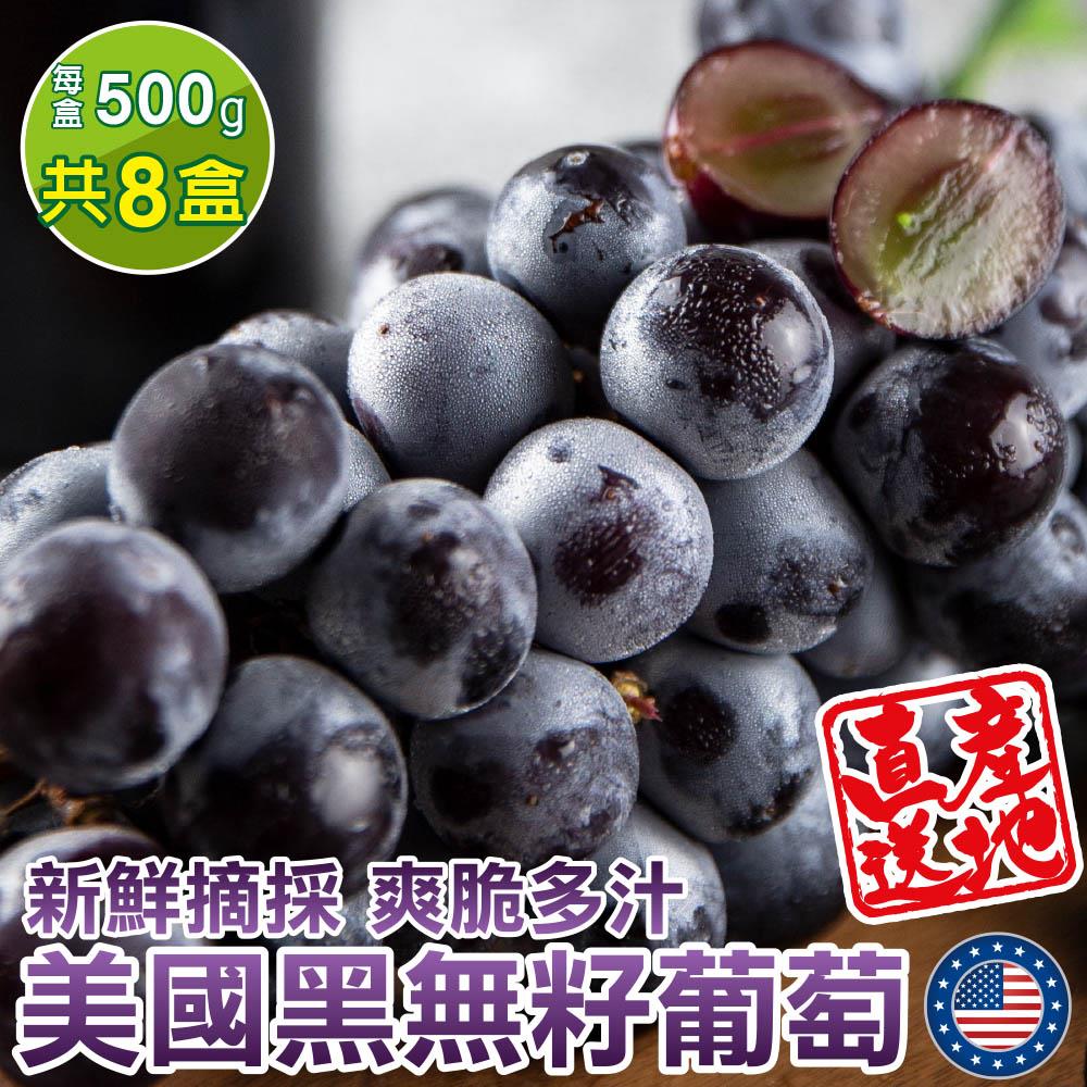 【廚鮮王-宅配】(免)8盒美國黑無籽葡萄(500g±10%/盒*8盒)